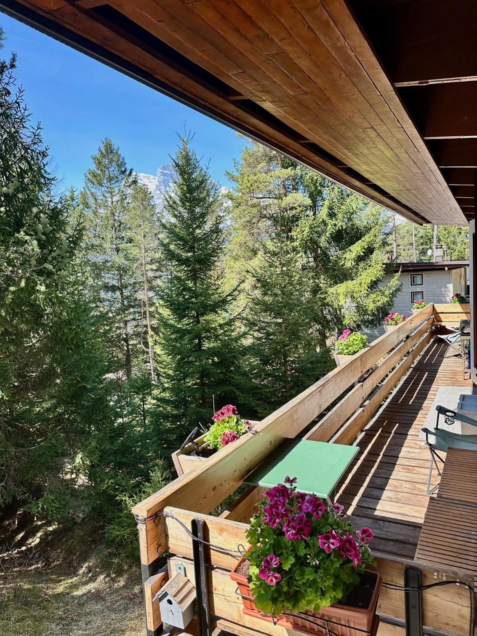 Ca'Mugo, a chalet in the magic woods, near Cortina
