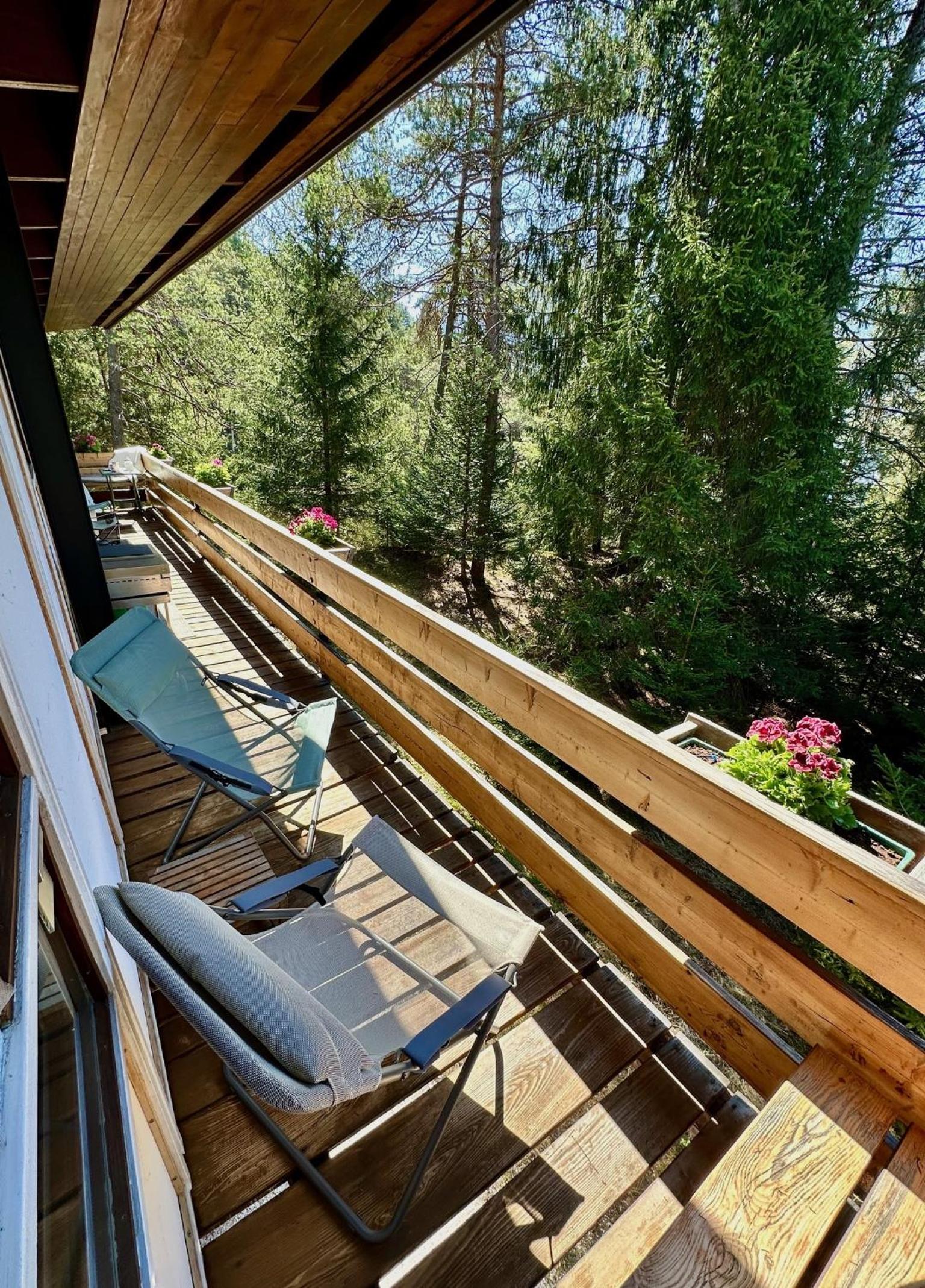 Ca'Mugo, a chalet in the magic woods, near Cortina