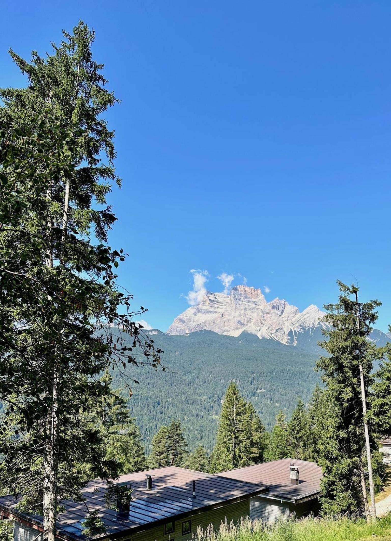 Ca'Mugo, a chalet in the magic woods, near Cortina
