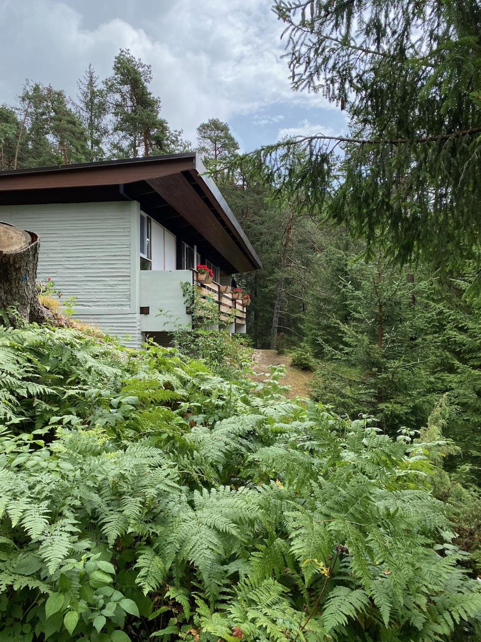 Ca'Mugo, a chalet in the magic woods, near Cortina