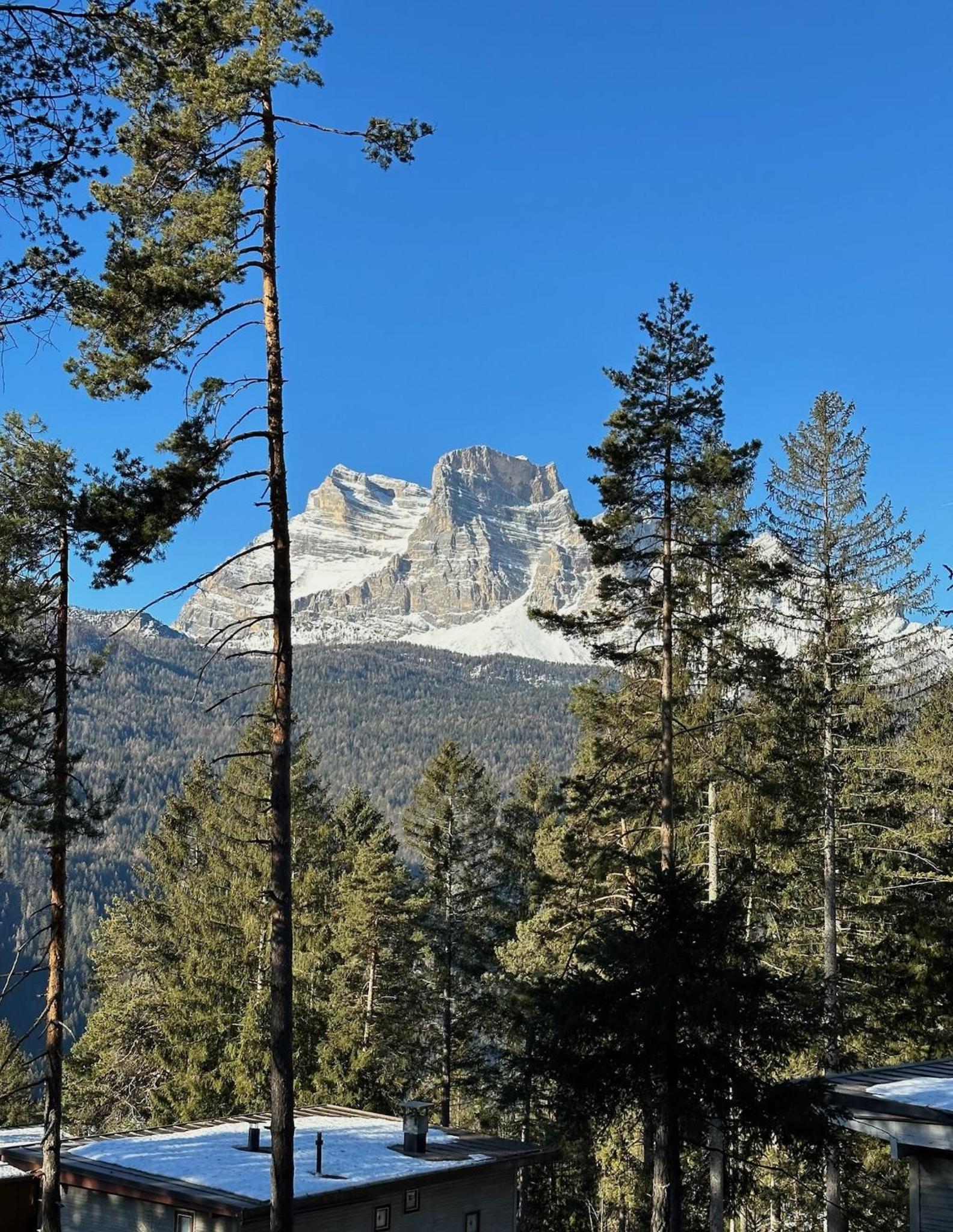 Ca'Mugo, a chalet in the magic woods, near Cortina