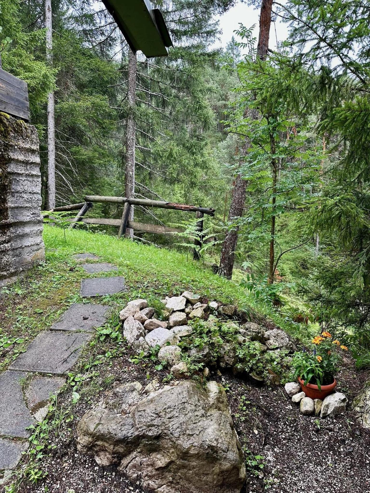 Ca'Mugo, a chalet in the magic woods, near Cortina