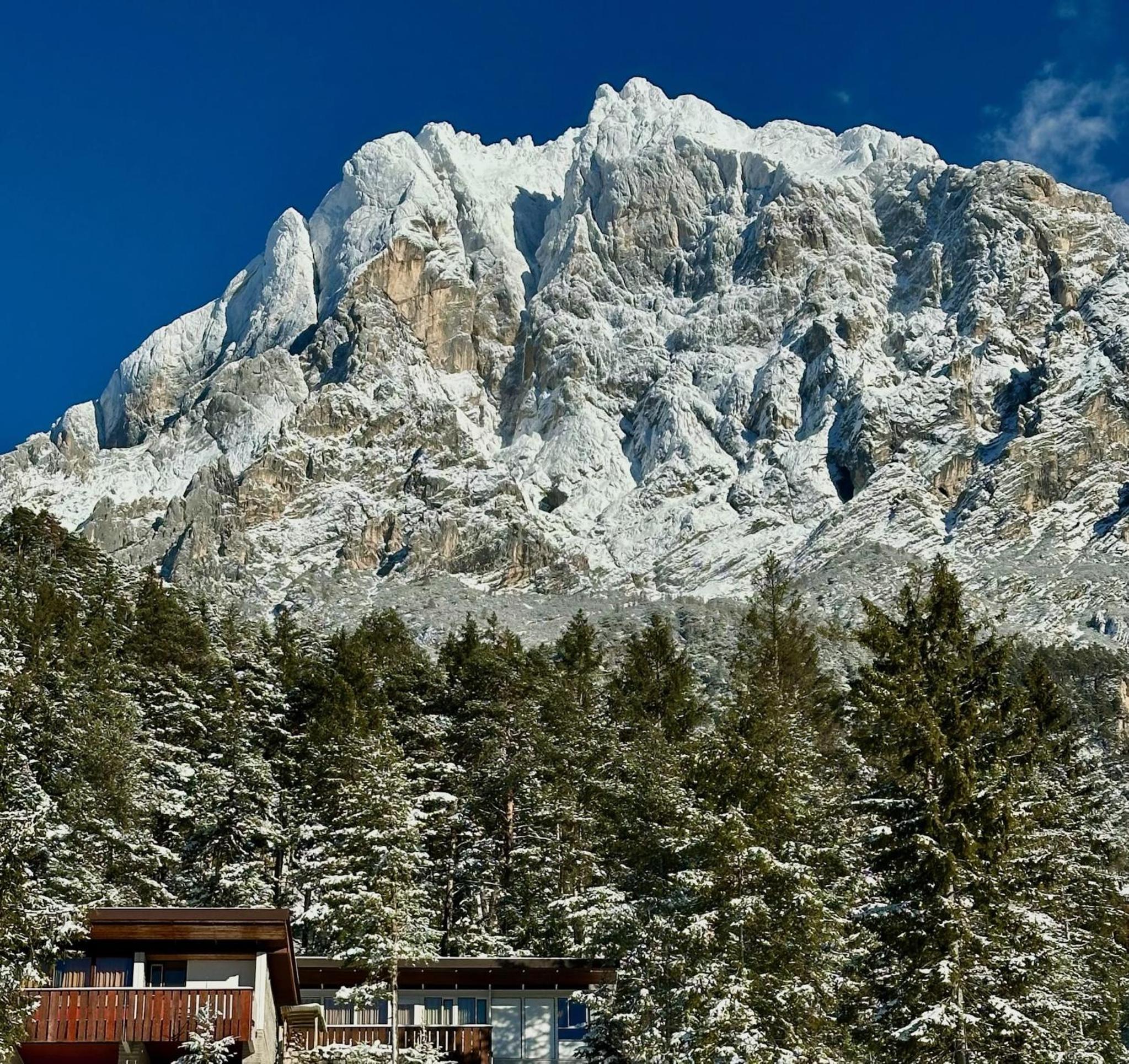 Ca'Mugo, a chalet in the magic woods, near Cortina