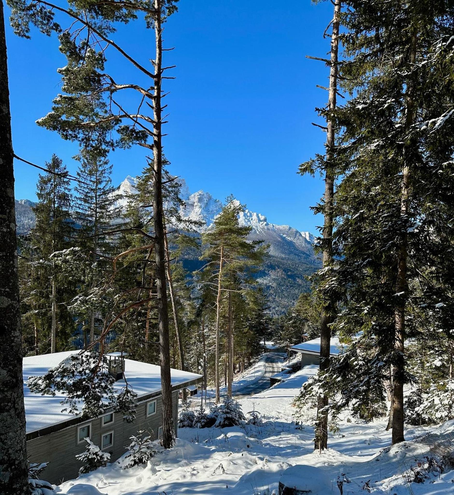Ca'Mugo, a chalet in the magic woods, near Cortina