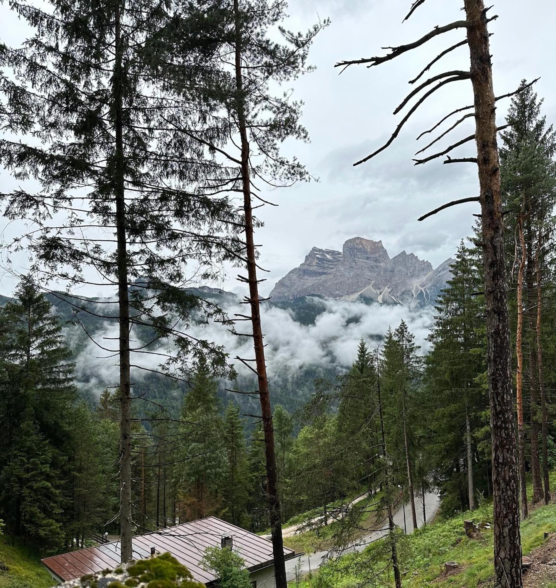 Ca'Mugo, a chalet in the magic woods, near Cortina