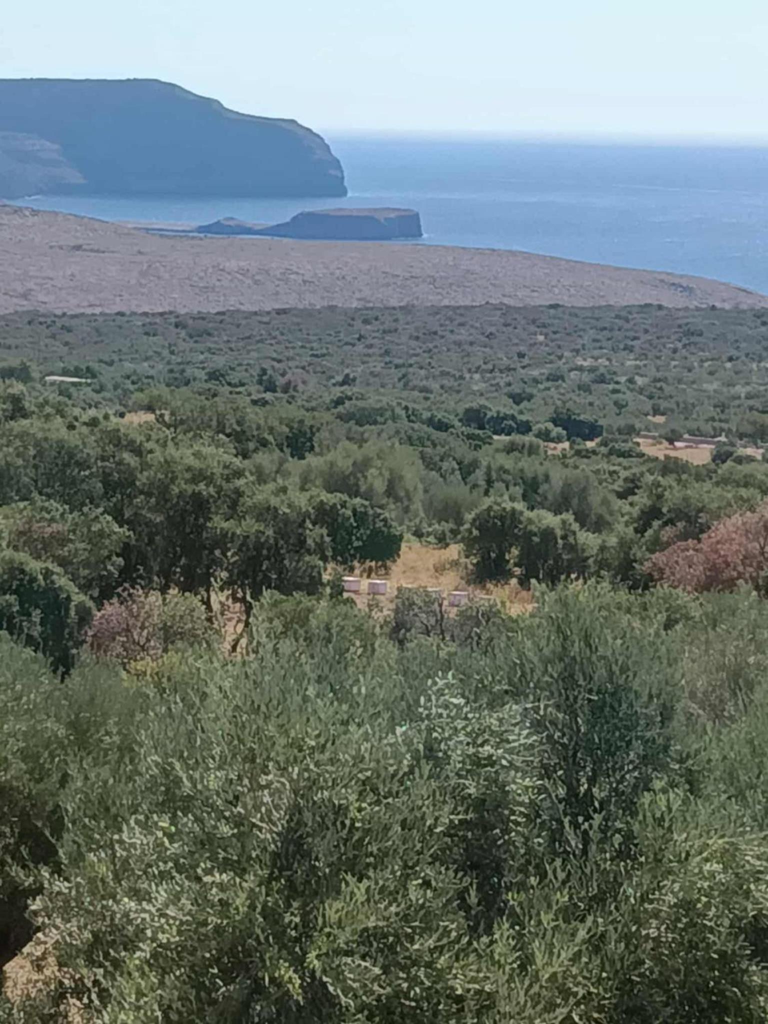 Πετροχτιστο Ρηνιω