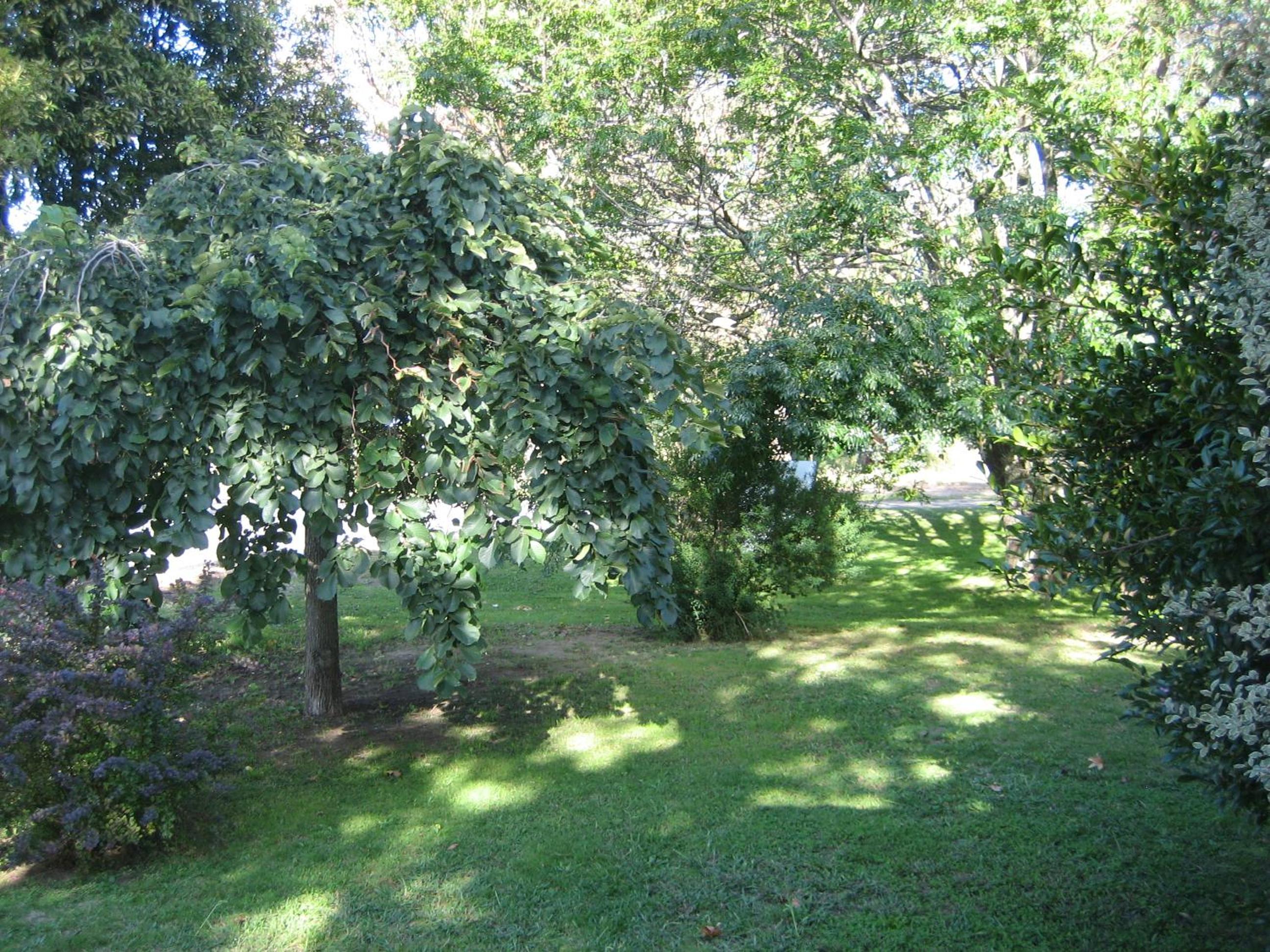 Nathan's Place