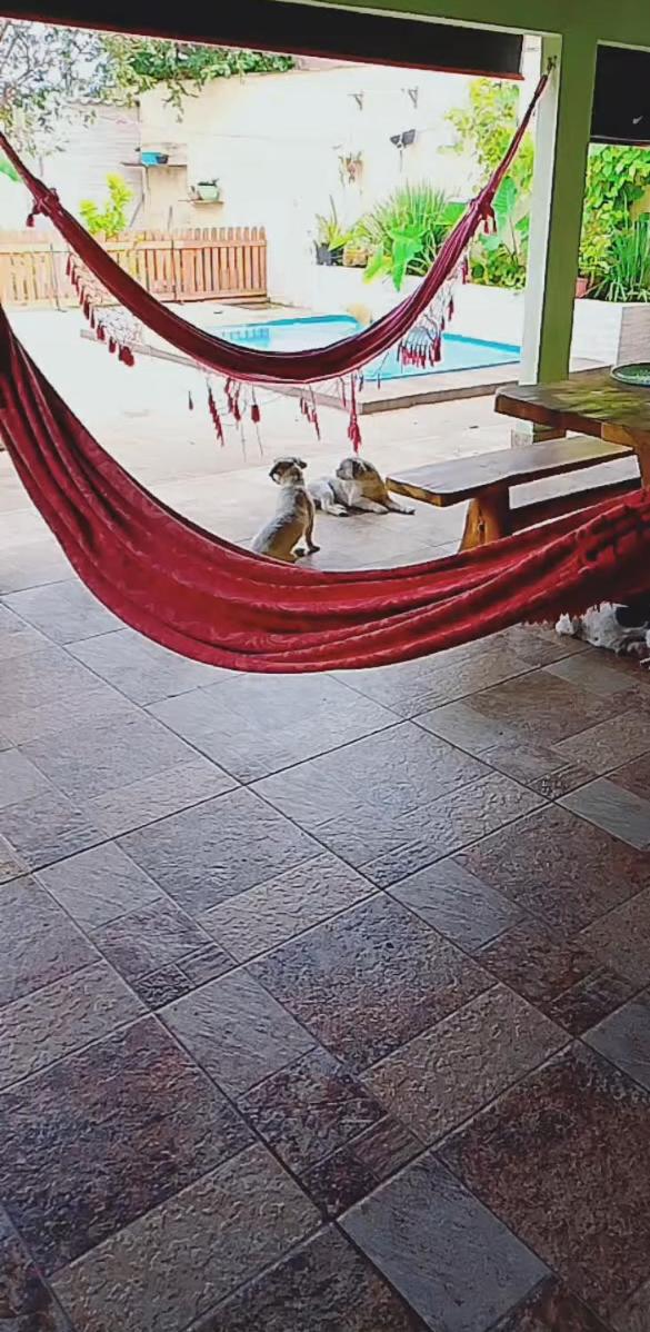 Casa Andreia Borges