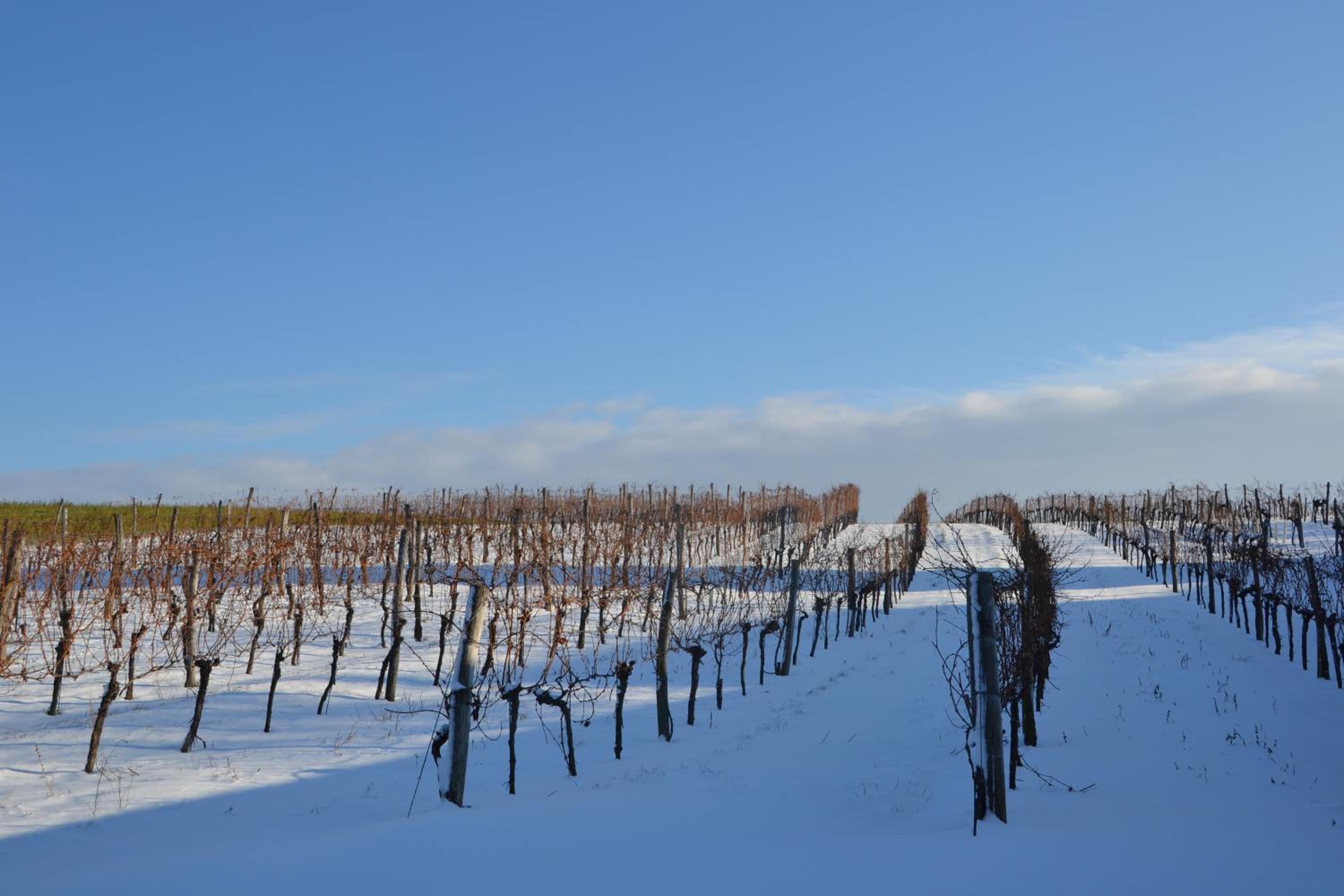 Wein + Bett Wiedeck