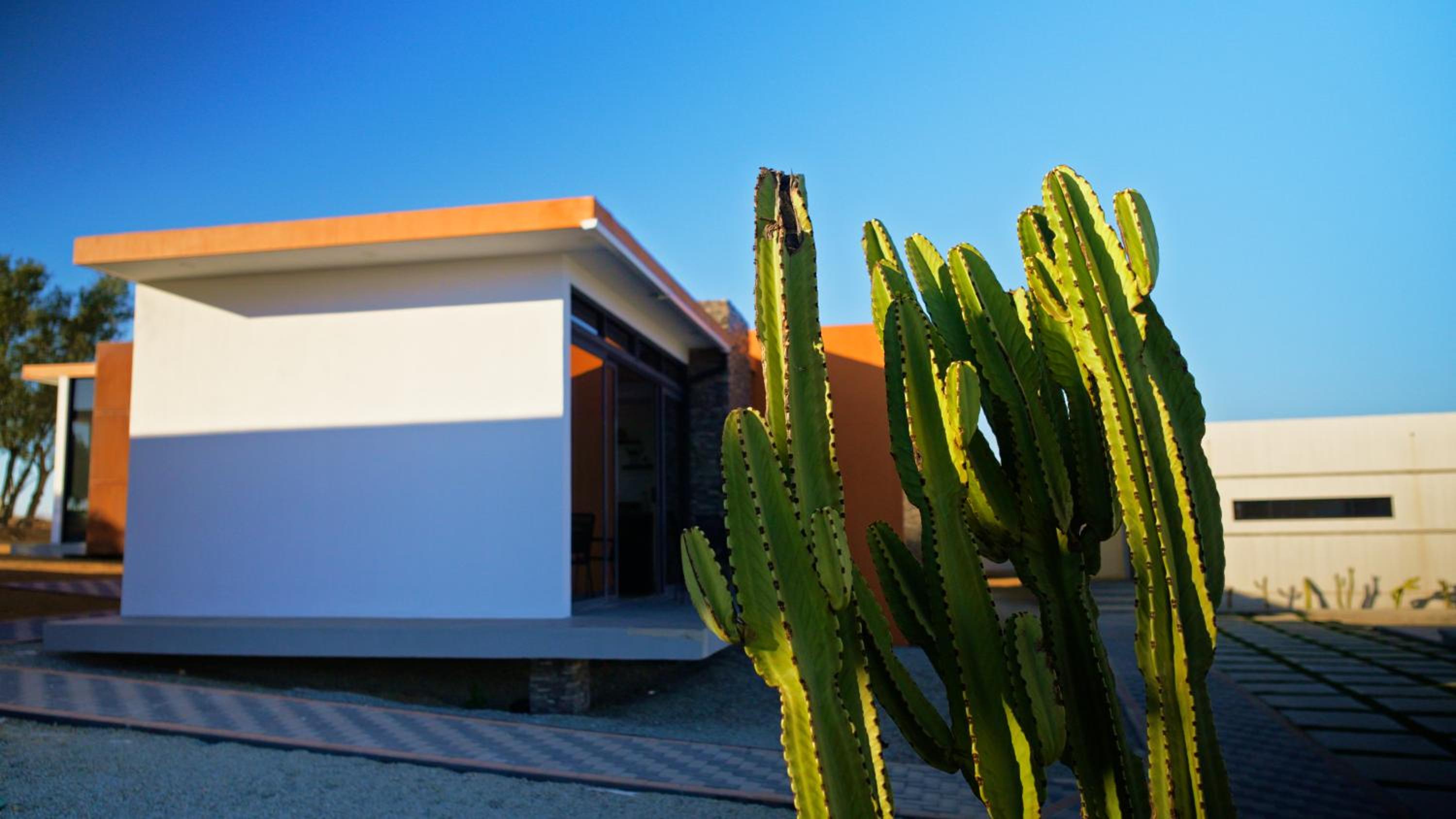 Ariché en Valle de Guadalupe