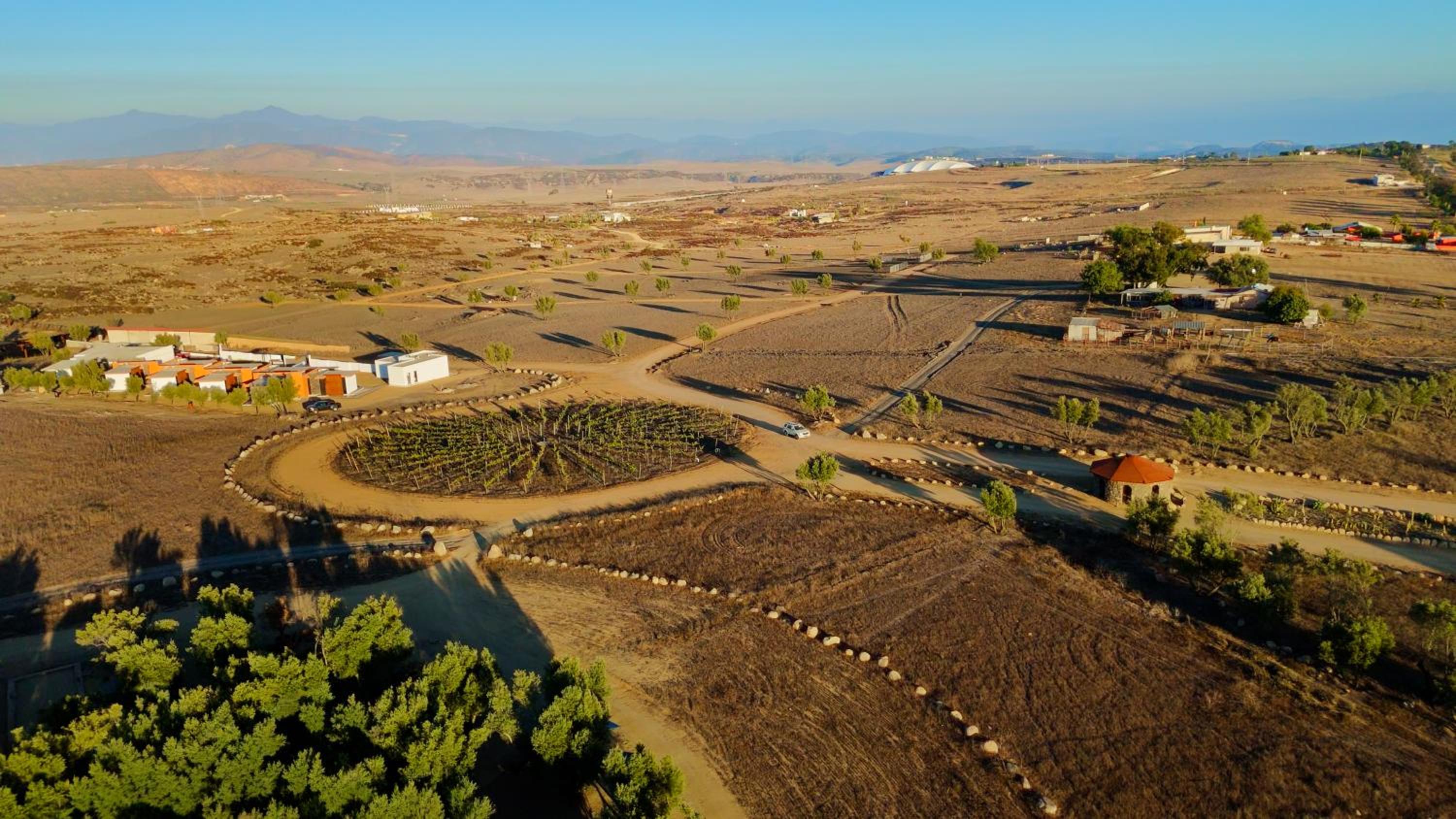 Ariché en Valle de Guadalupe