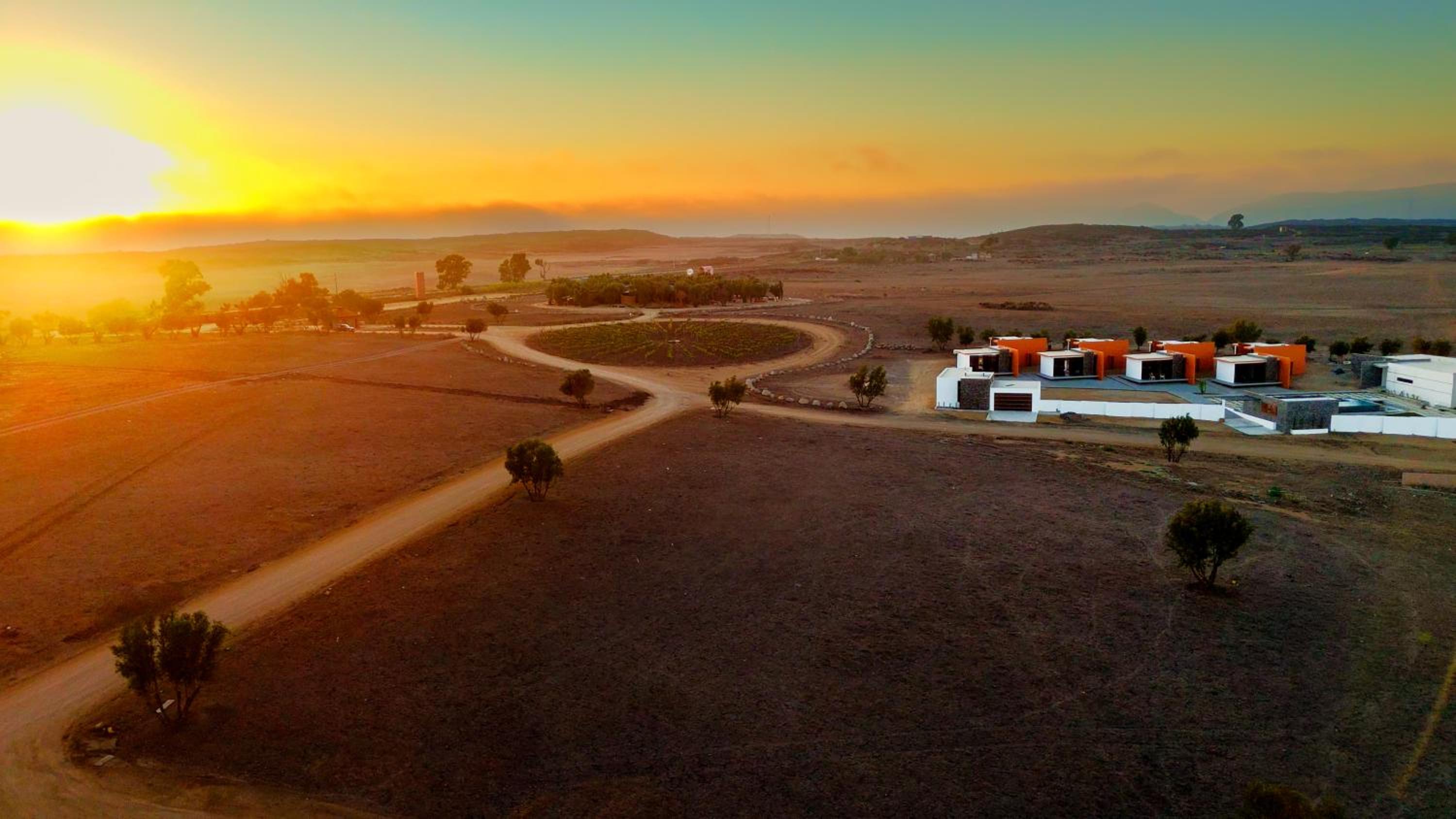 Ariché en Valle de Guadalupe
