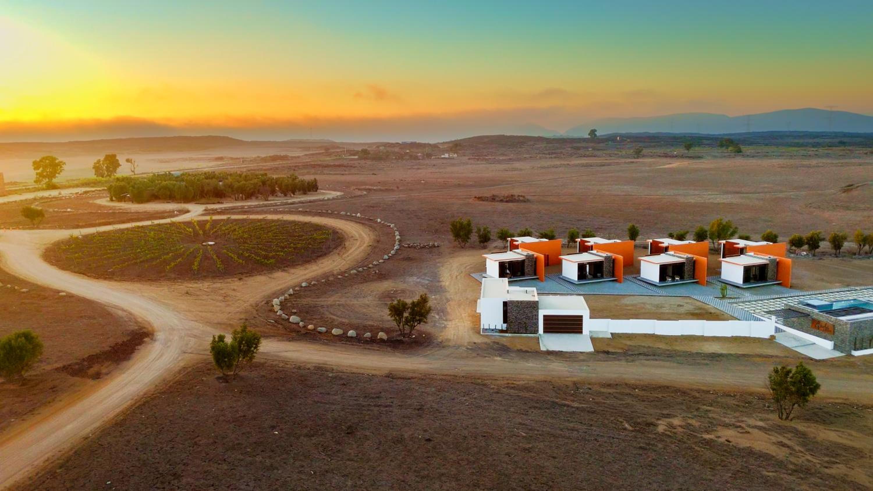 Ariché en Valle de Guadalupe