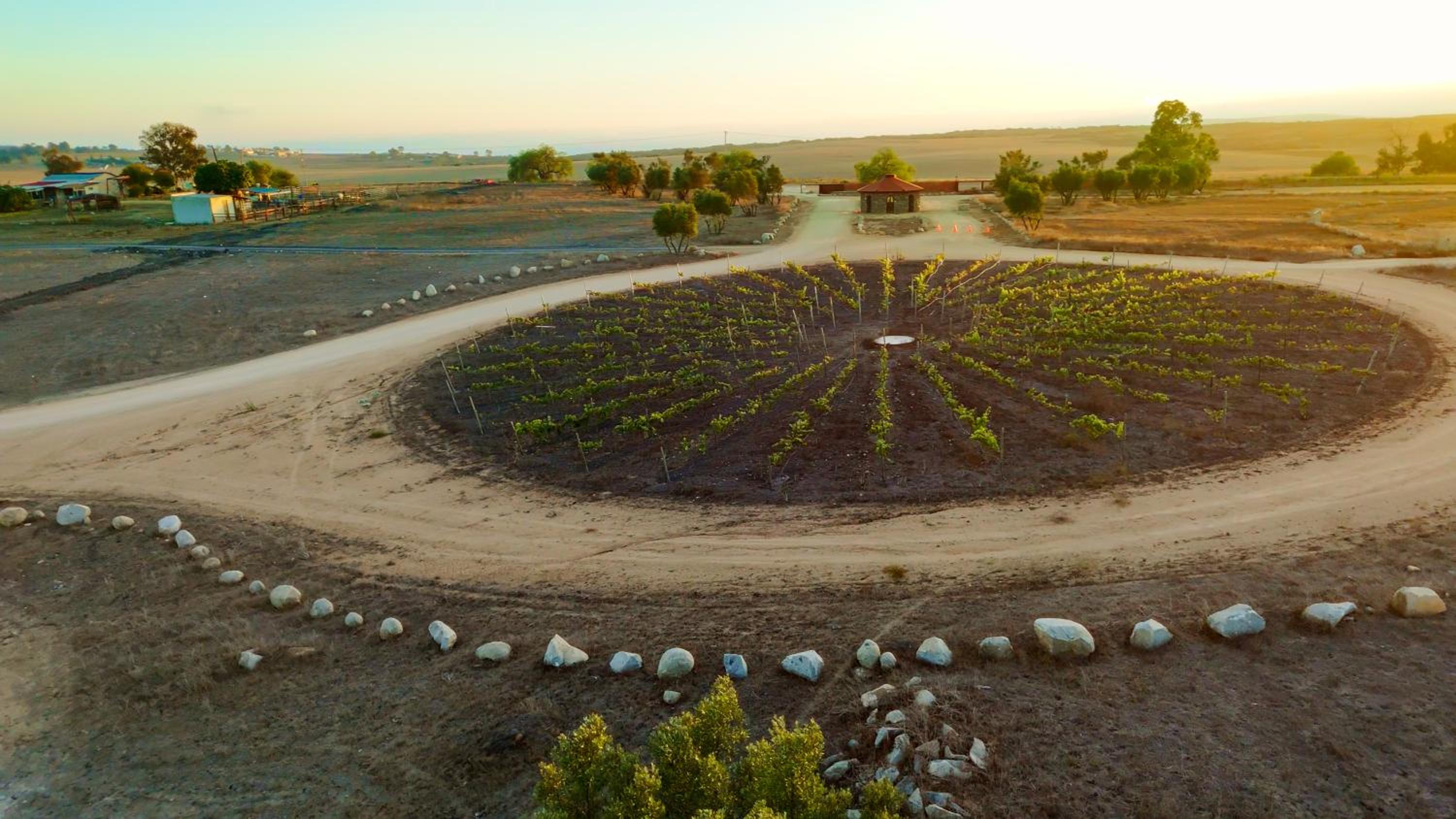Ariché en Valle de Guadalupe