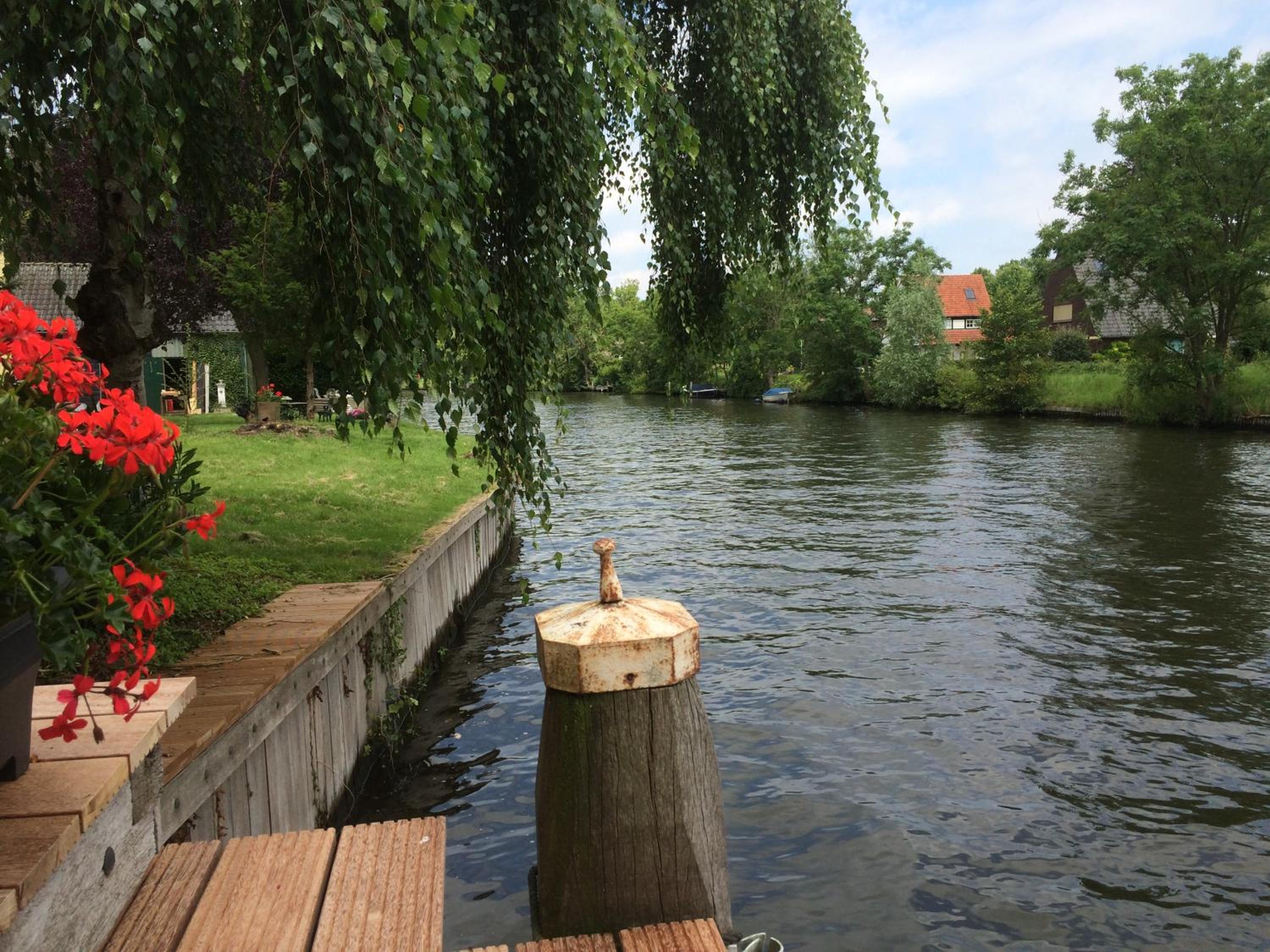 Photo 38