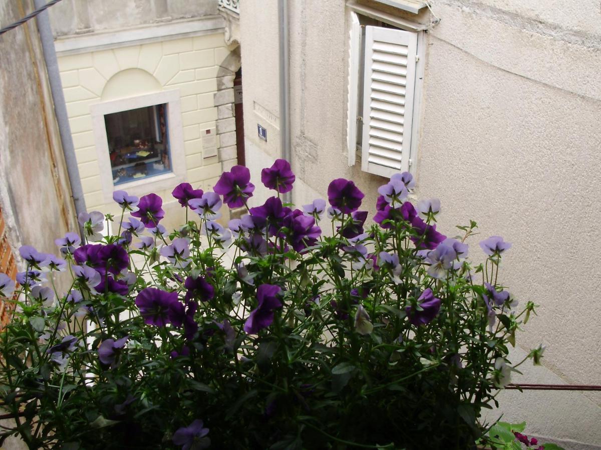 Photo 37