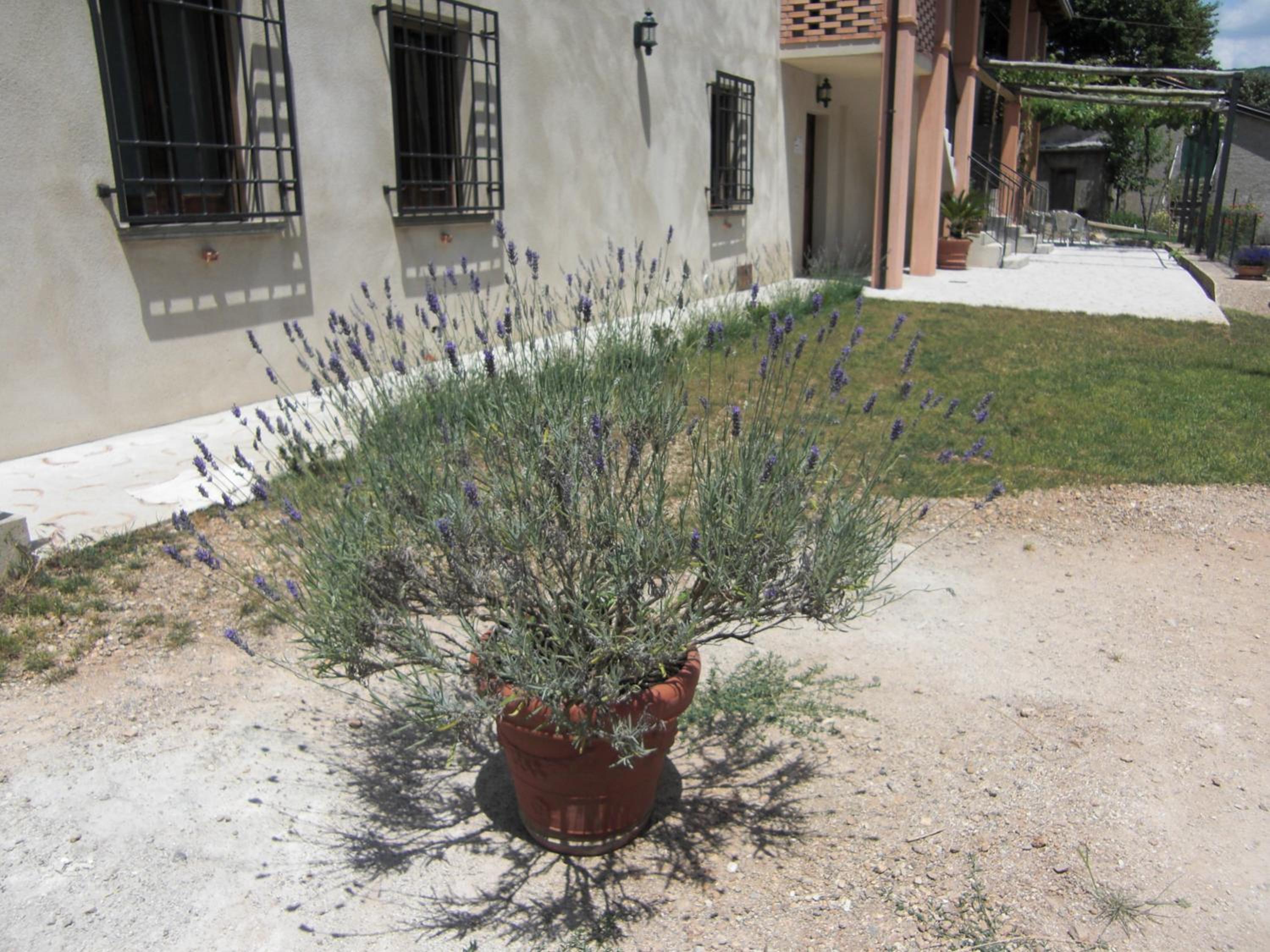 Photo 34