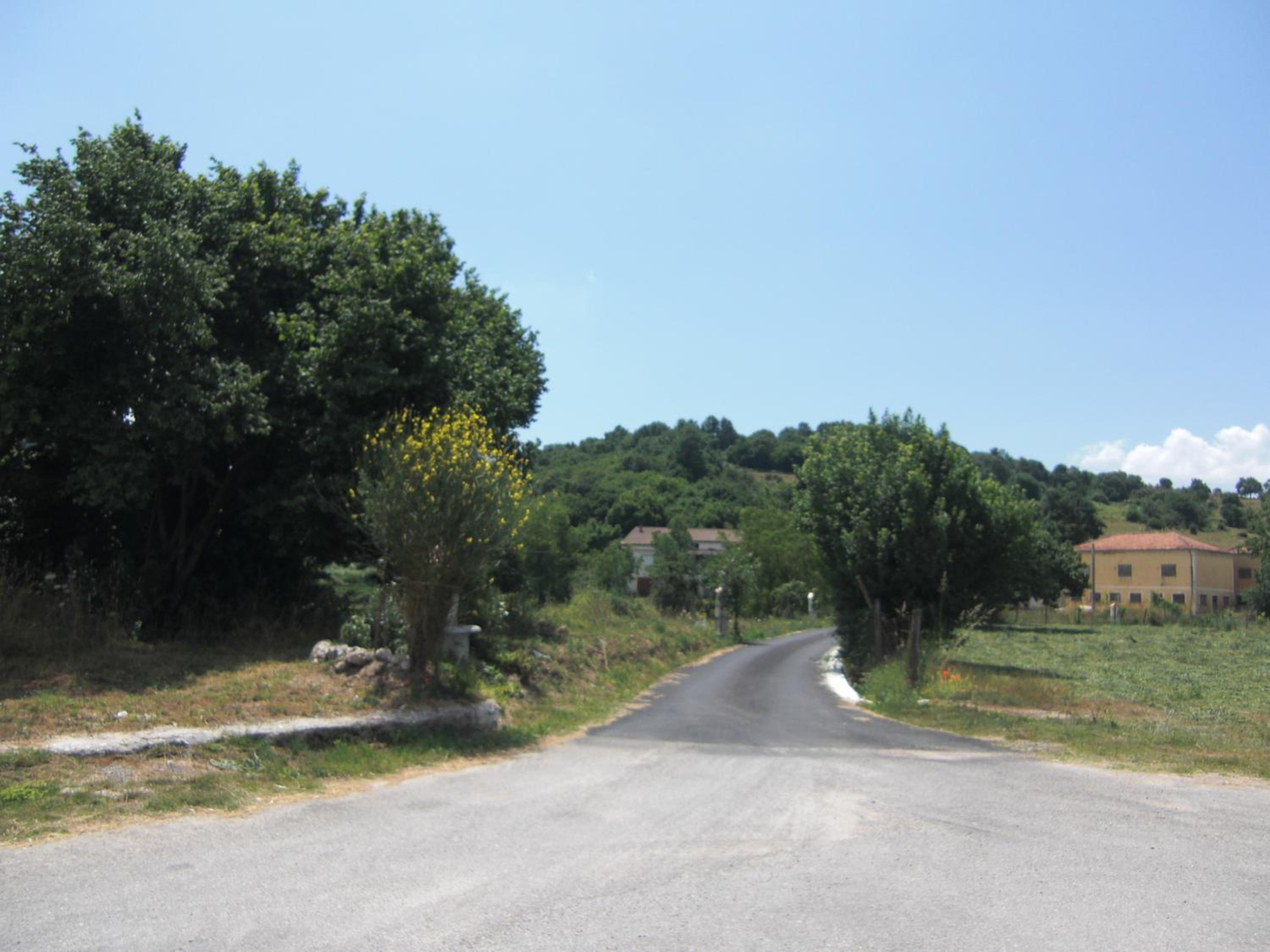 Photo 40