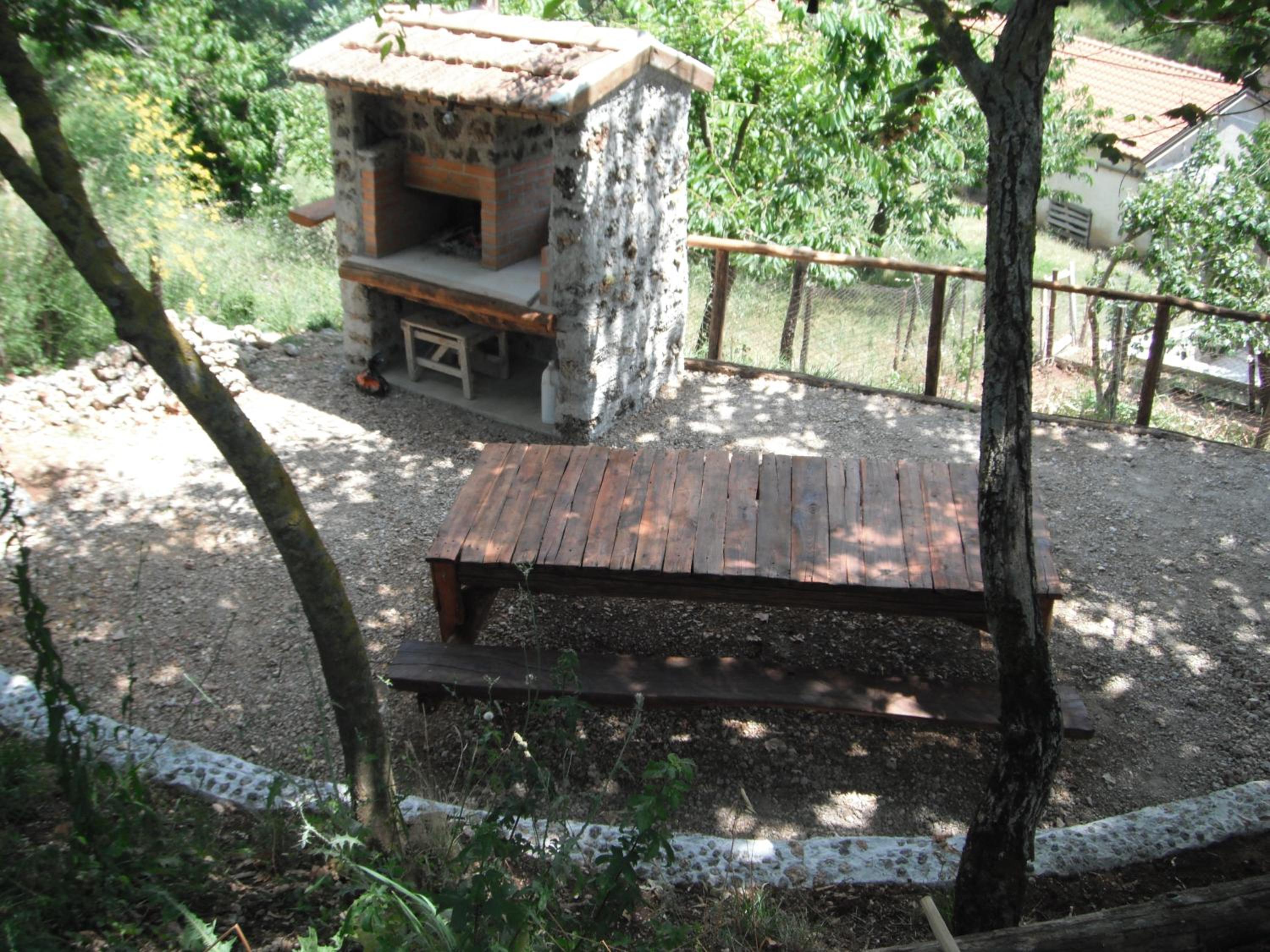 Photo 45