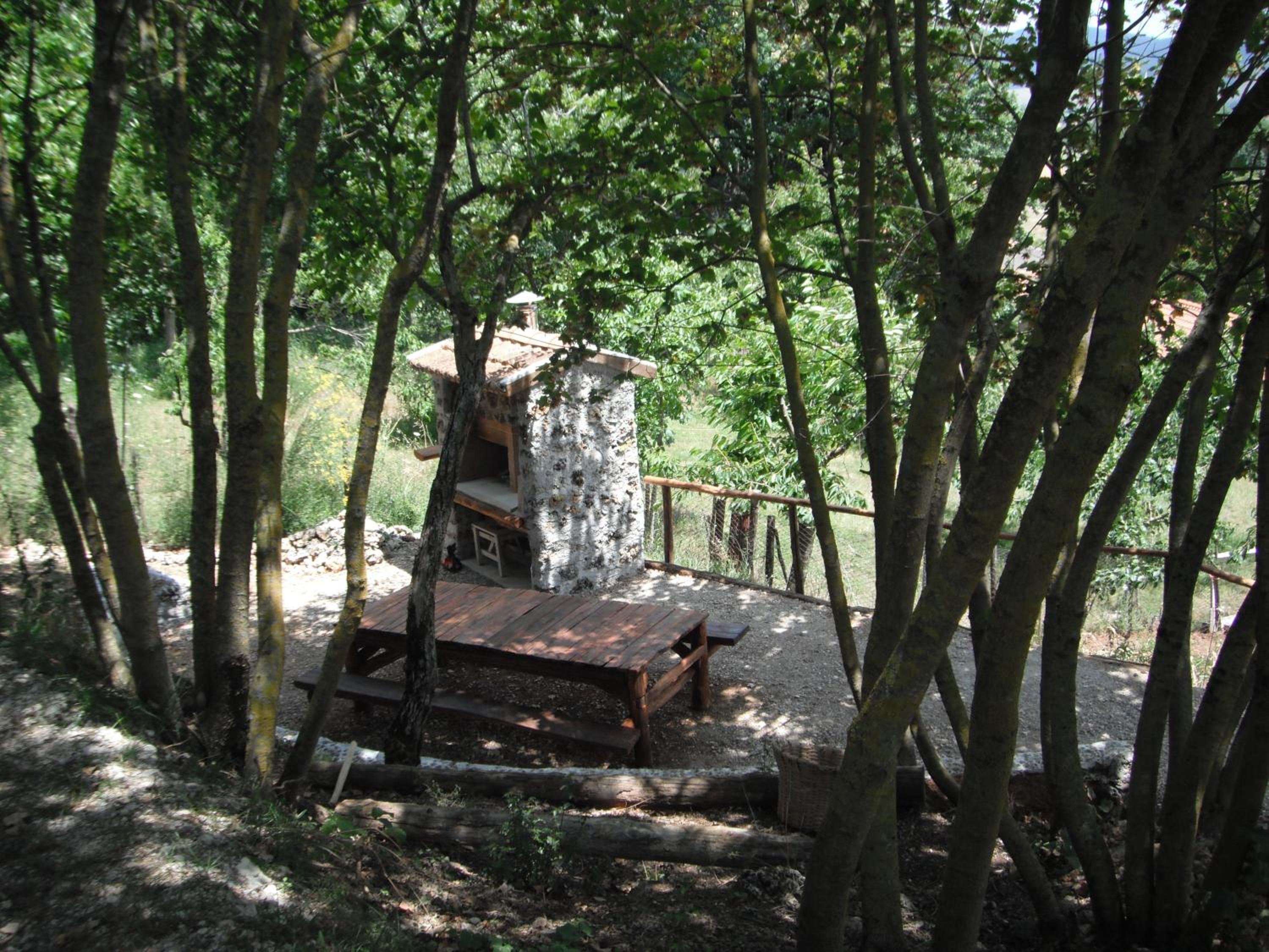 Photo 48