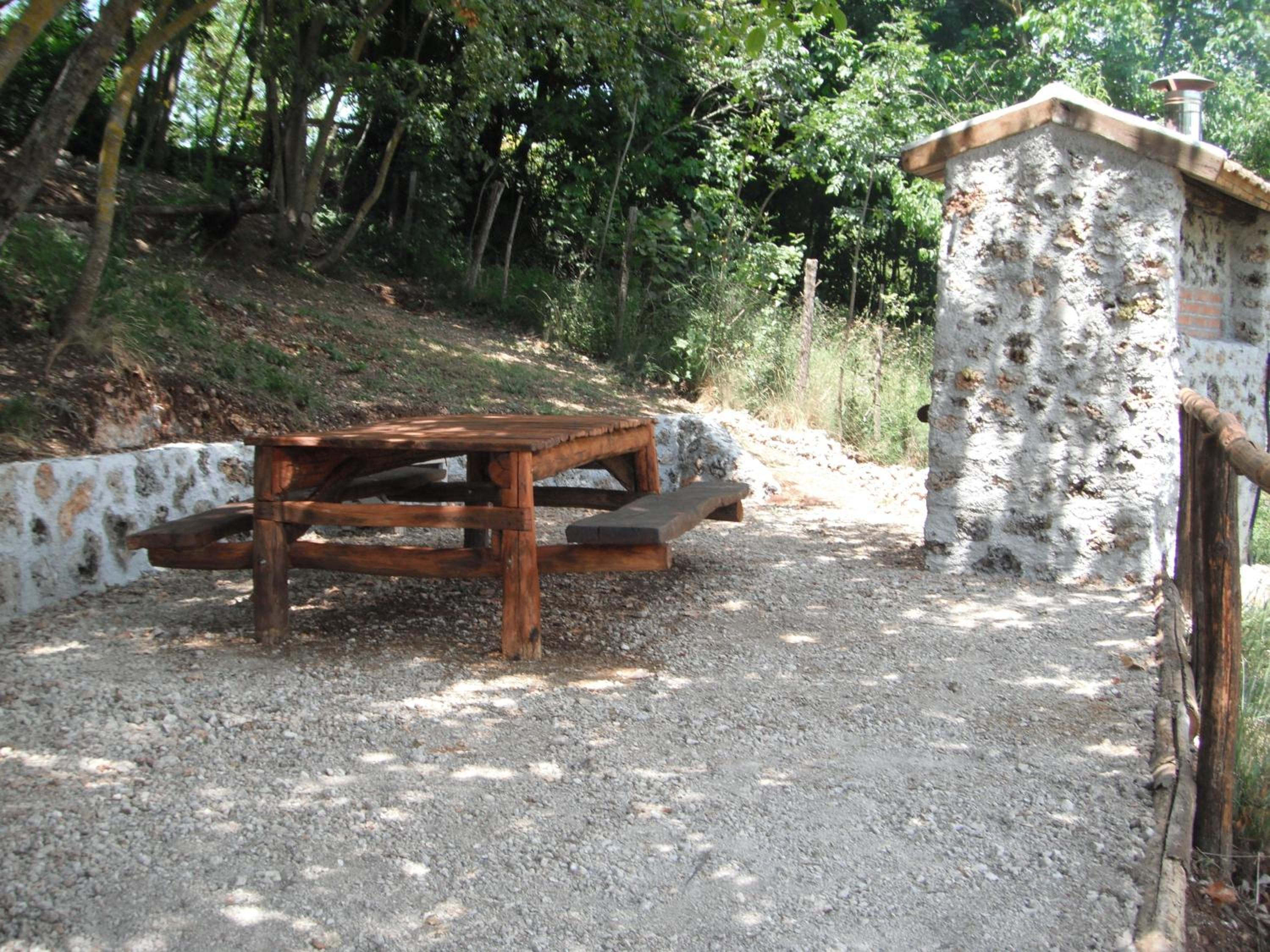 Photo 41