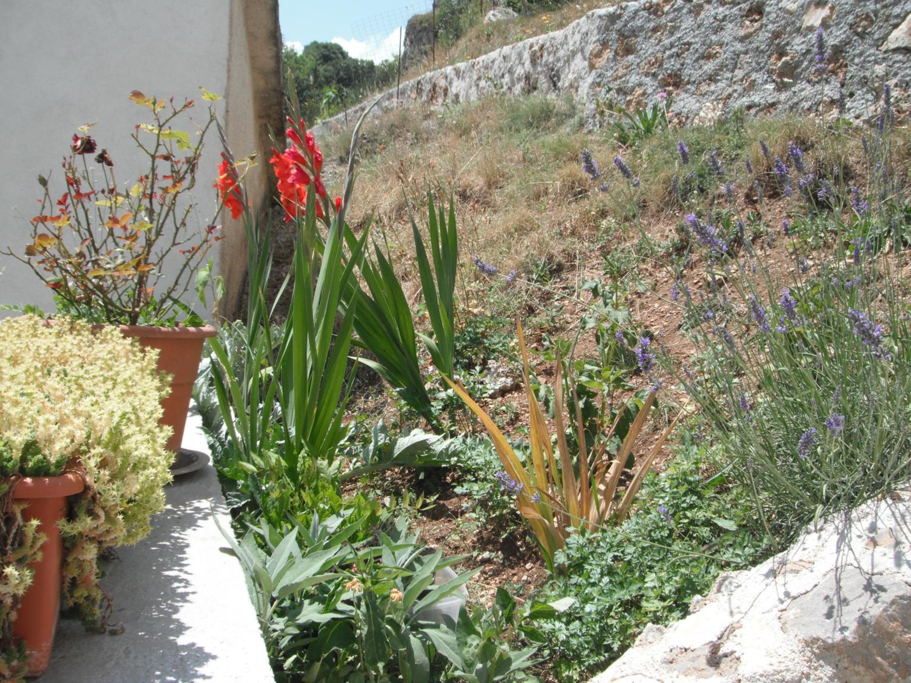 Photo 27