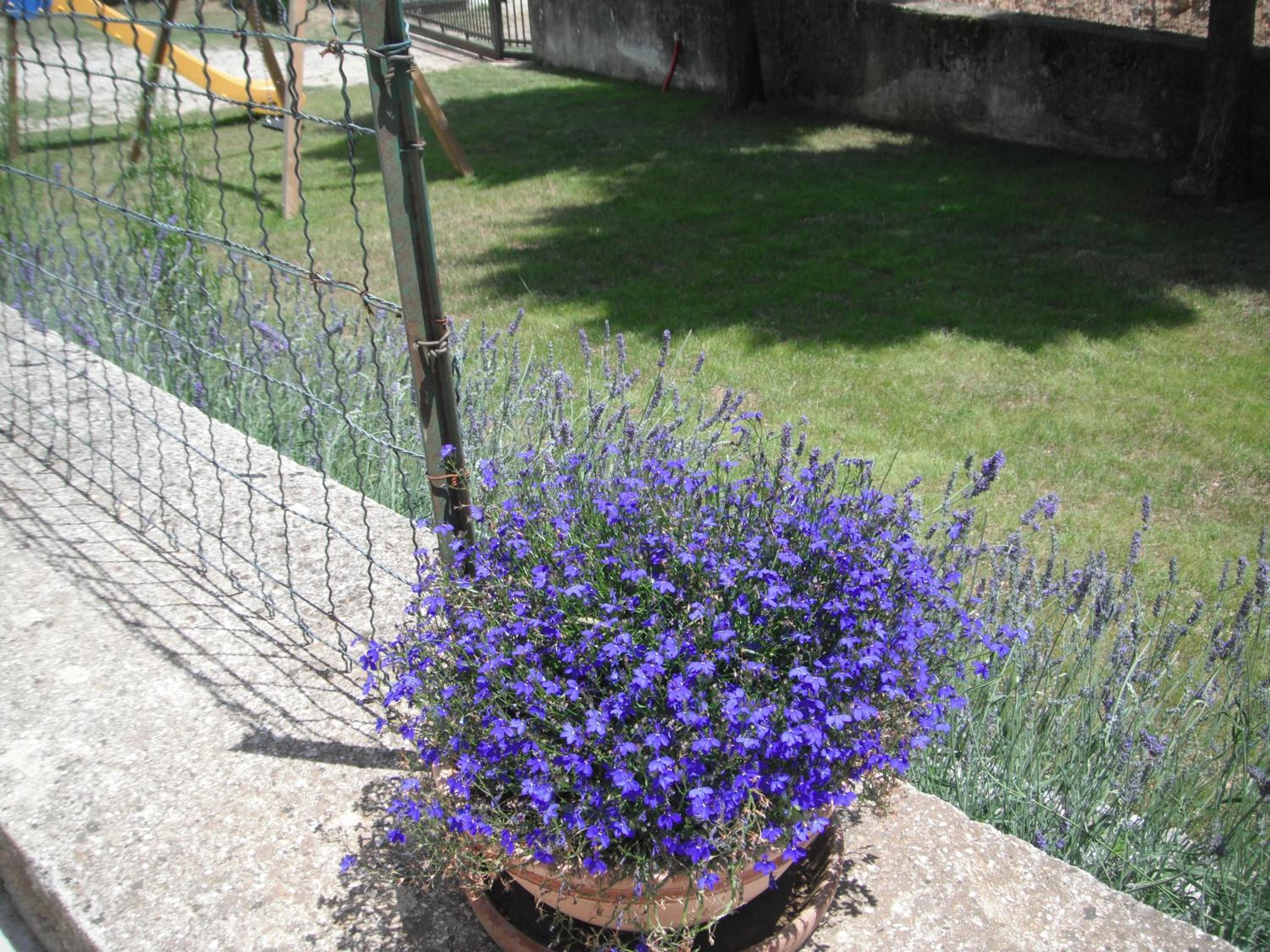 Photo 30