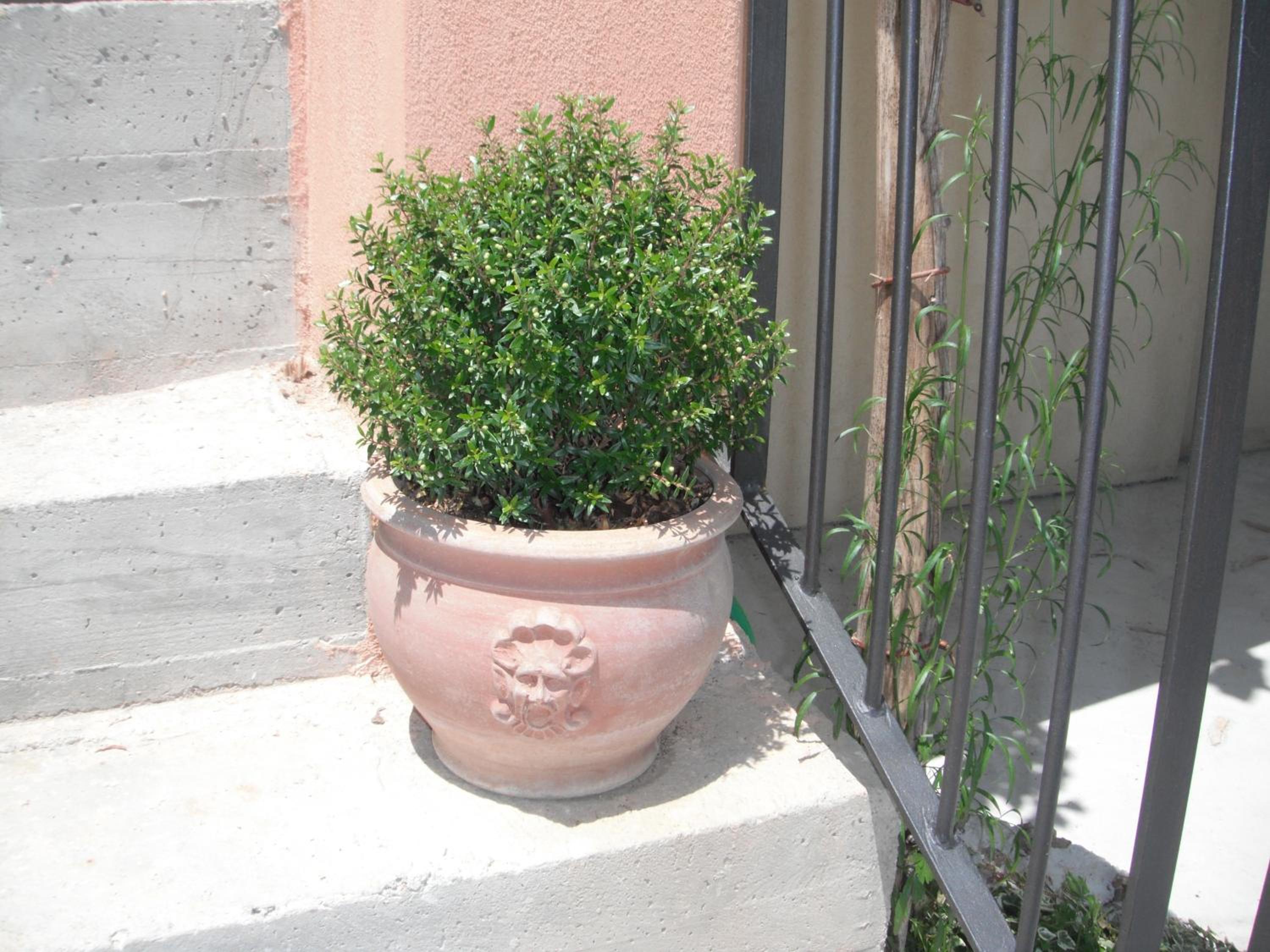 Photo 32