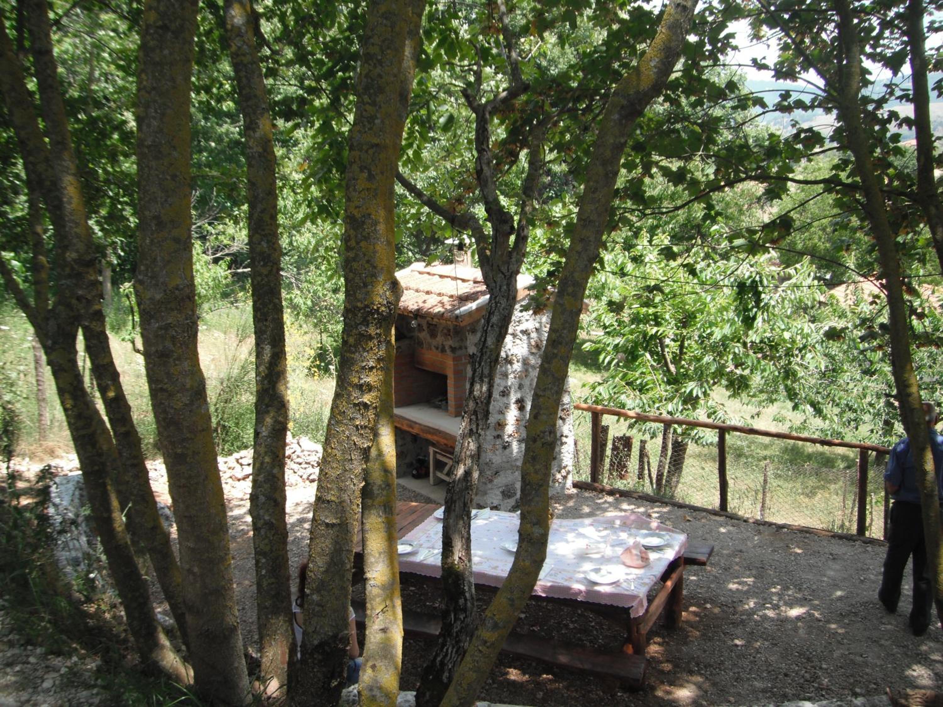 Photo 44