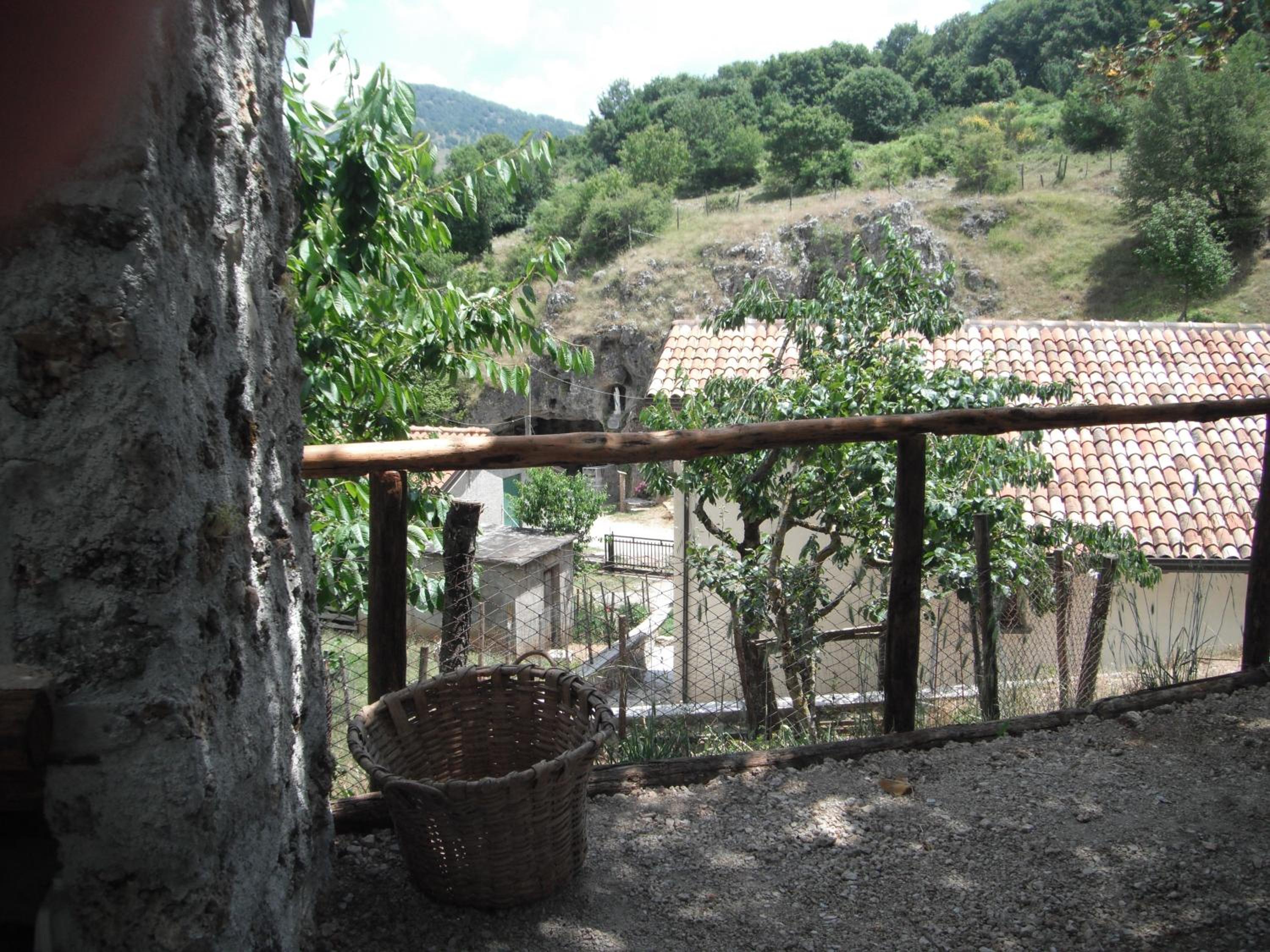 Photo 46
