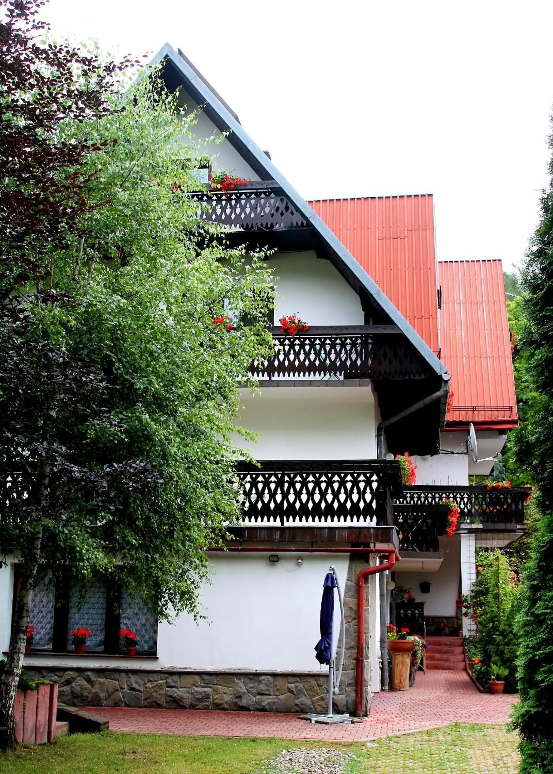 Photo 45