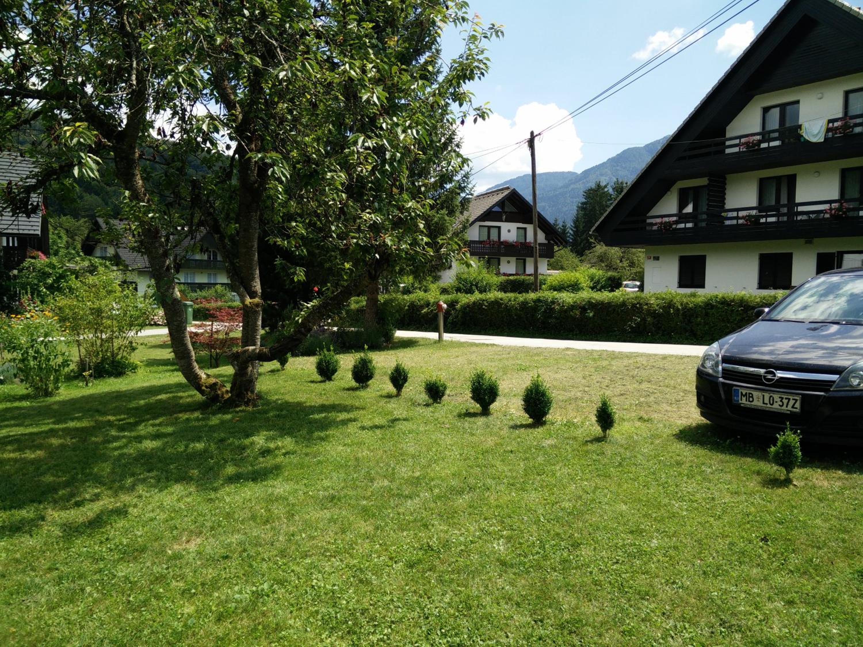Photo 33