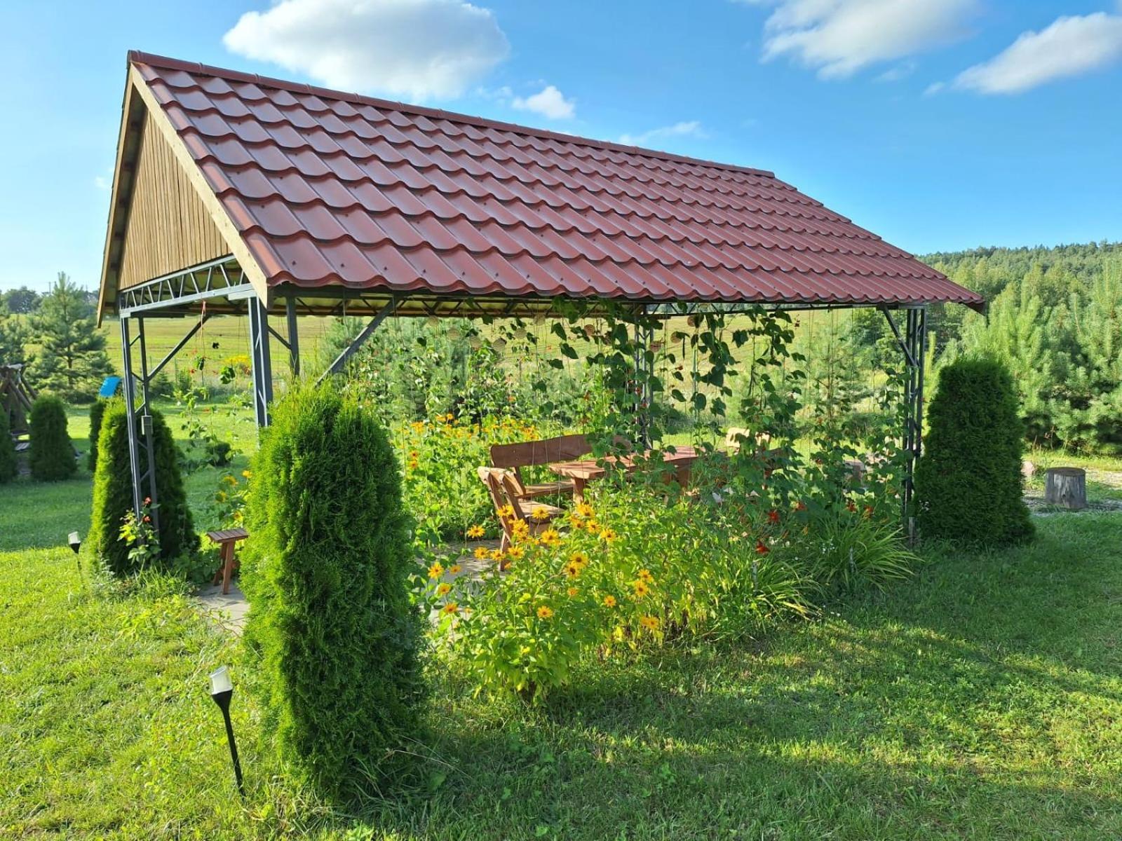 Photo 46