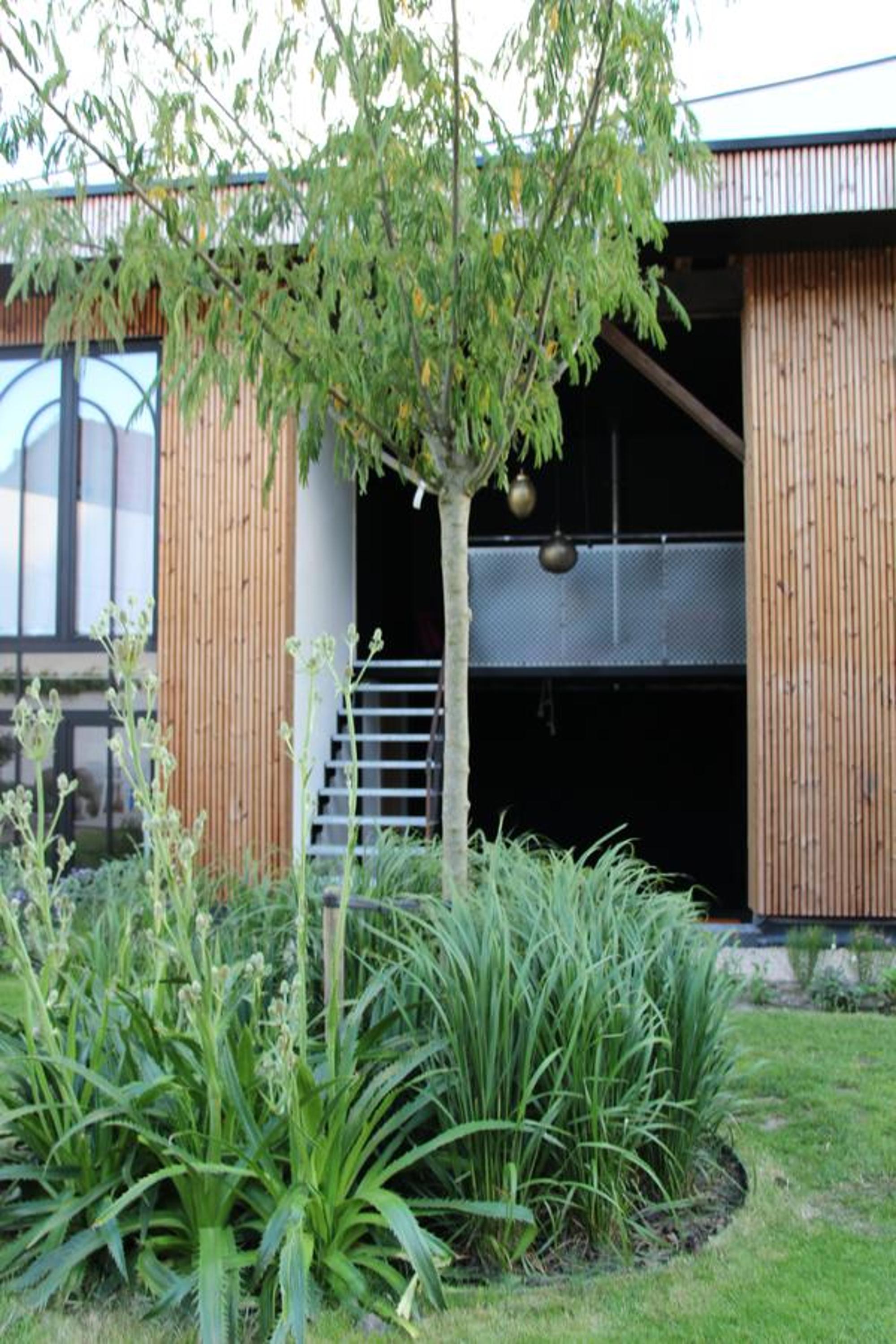 Koto Garden Suites