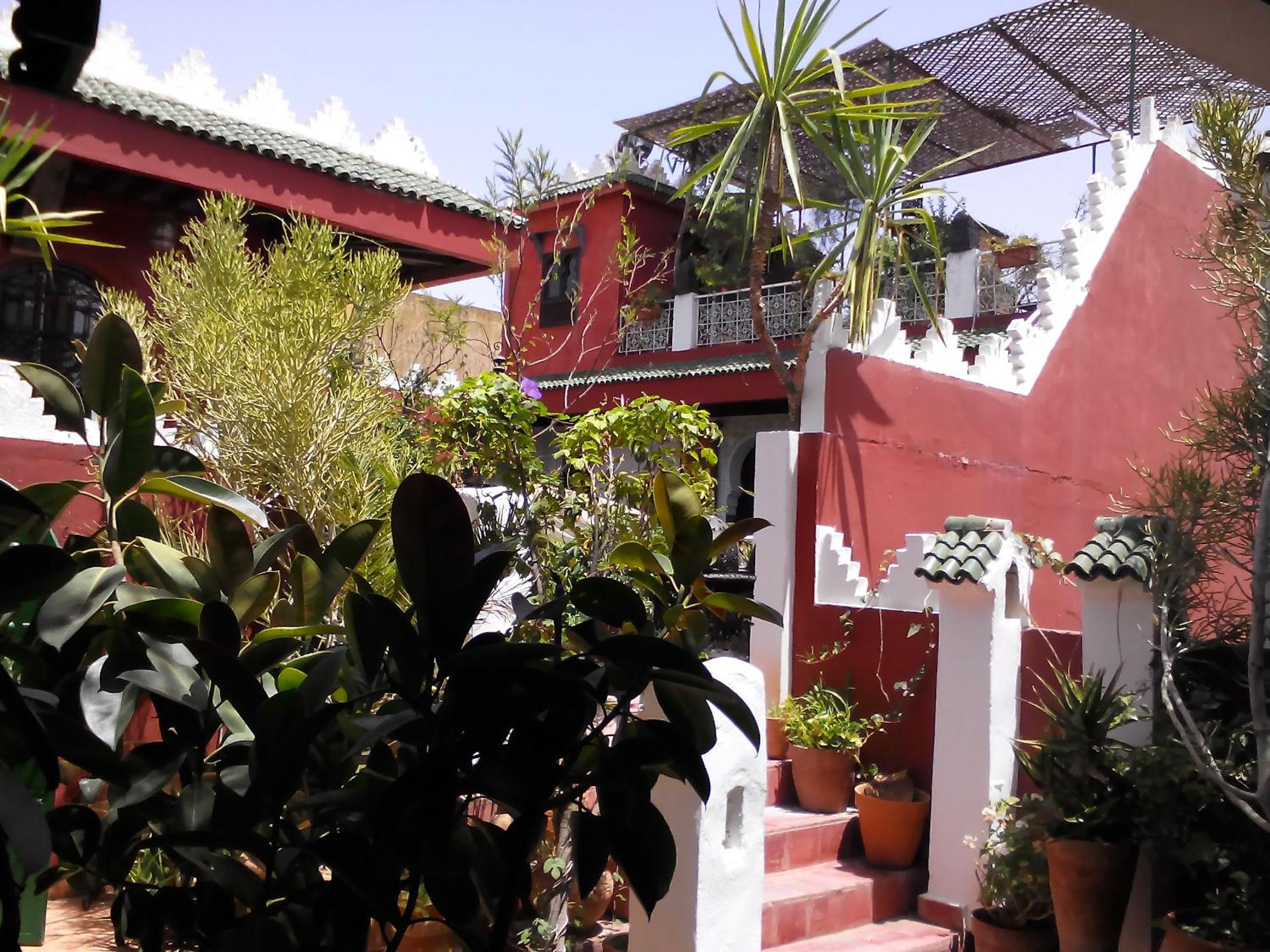 Ryad Bahia