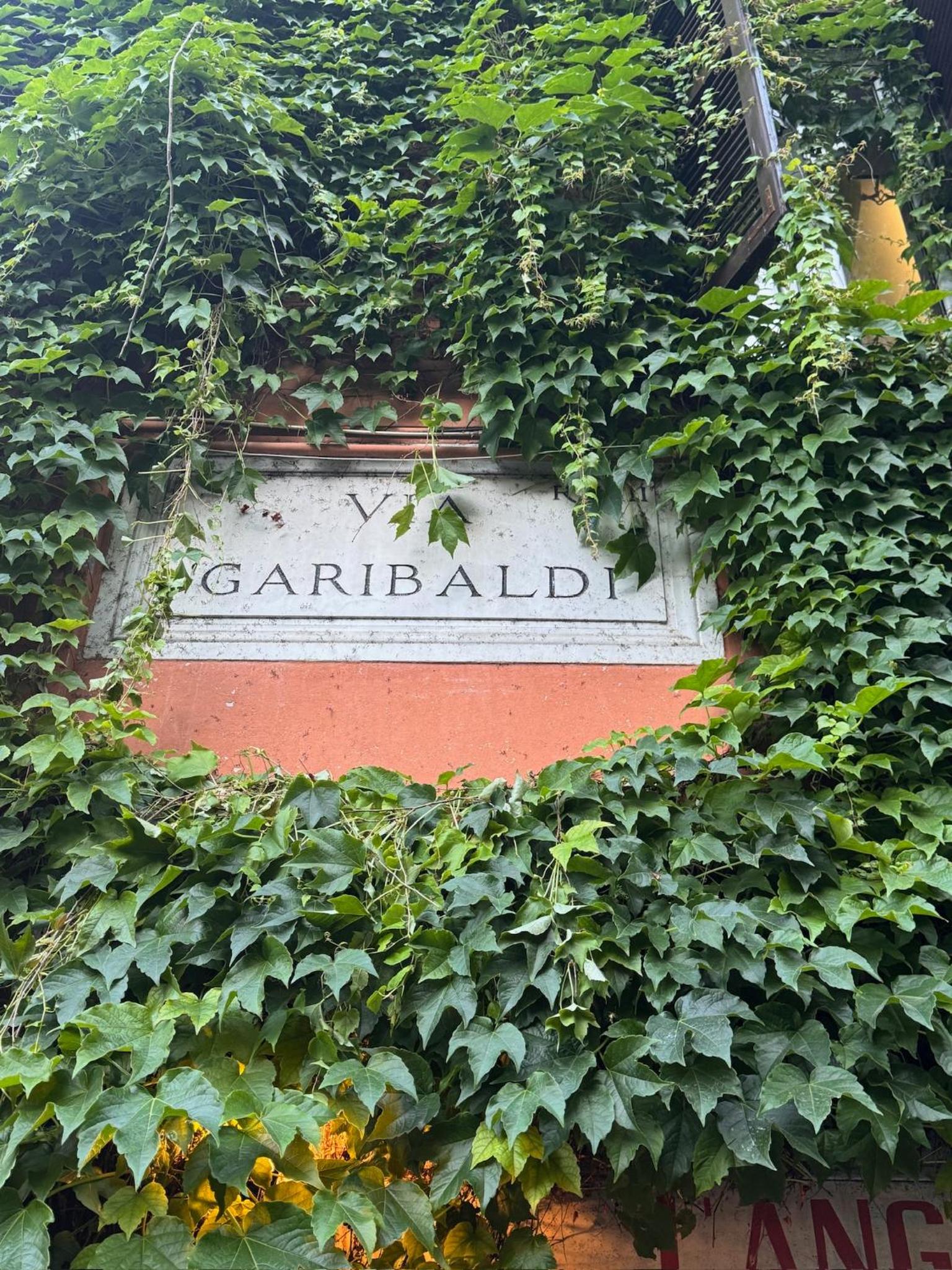 Garibaldi Studio Apt