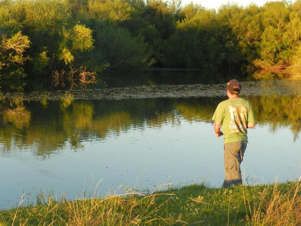 Photo 49
