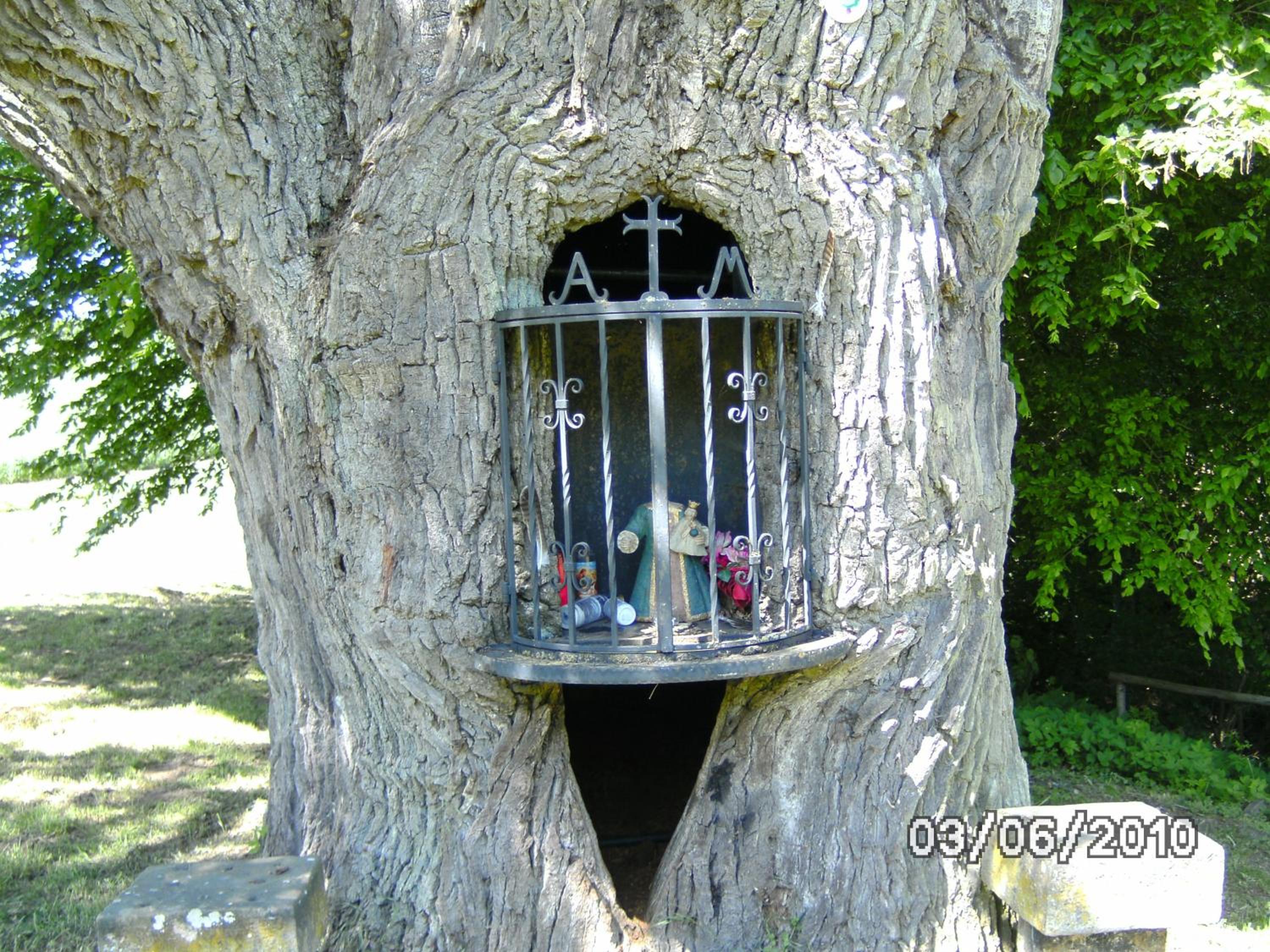 Photo 22