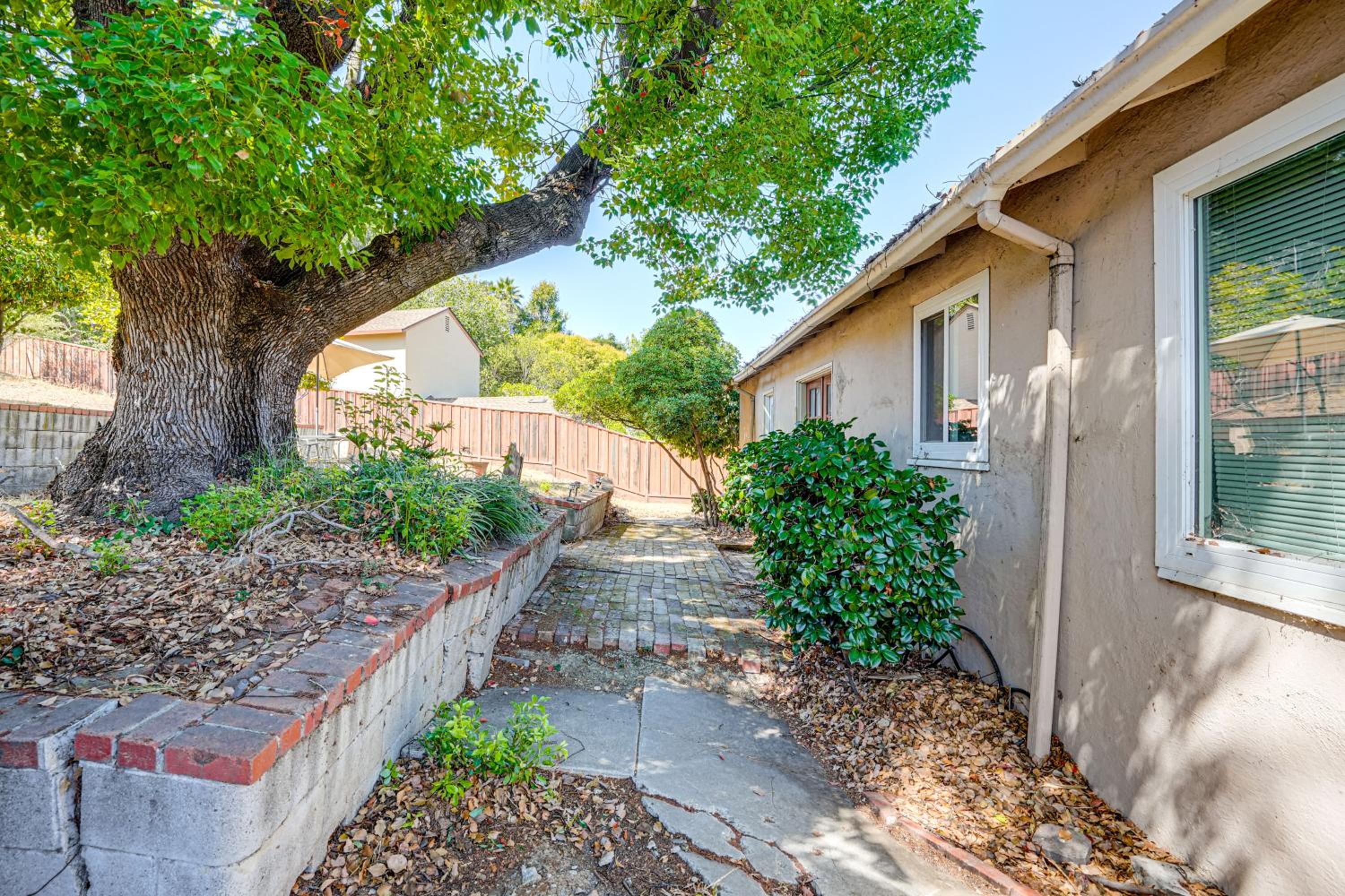 Serene Studio in SF Suburbs Quiet and Cat Friendly!