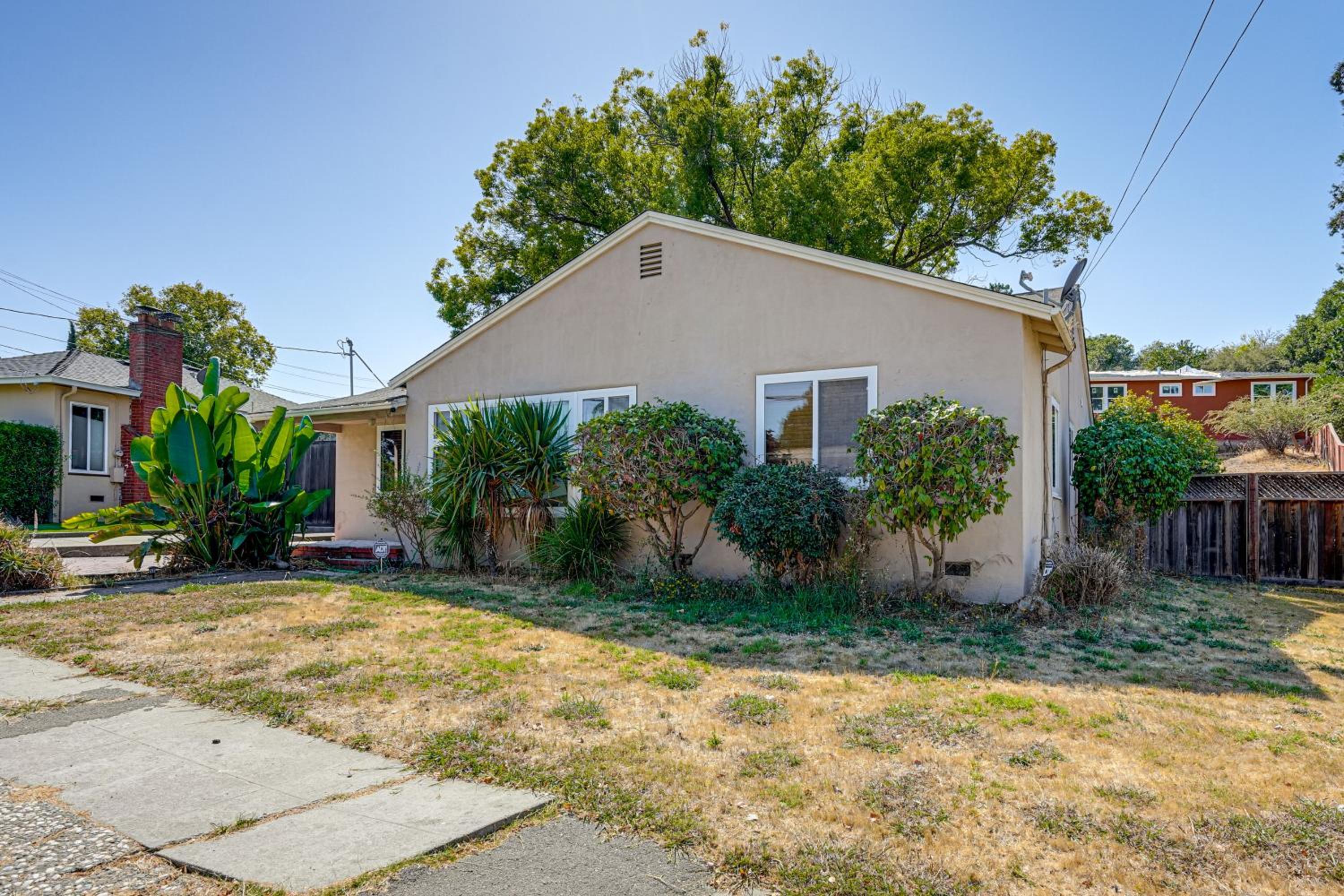 Serene Studio in SF Suburbs Quiet and Cat Friendly!