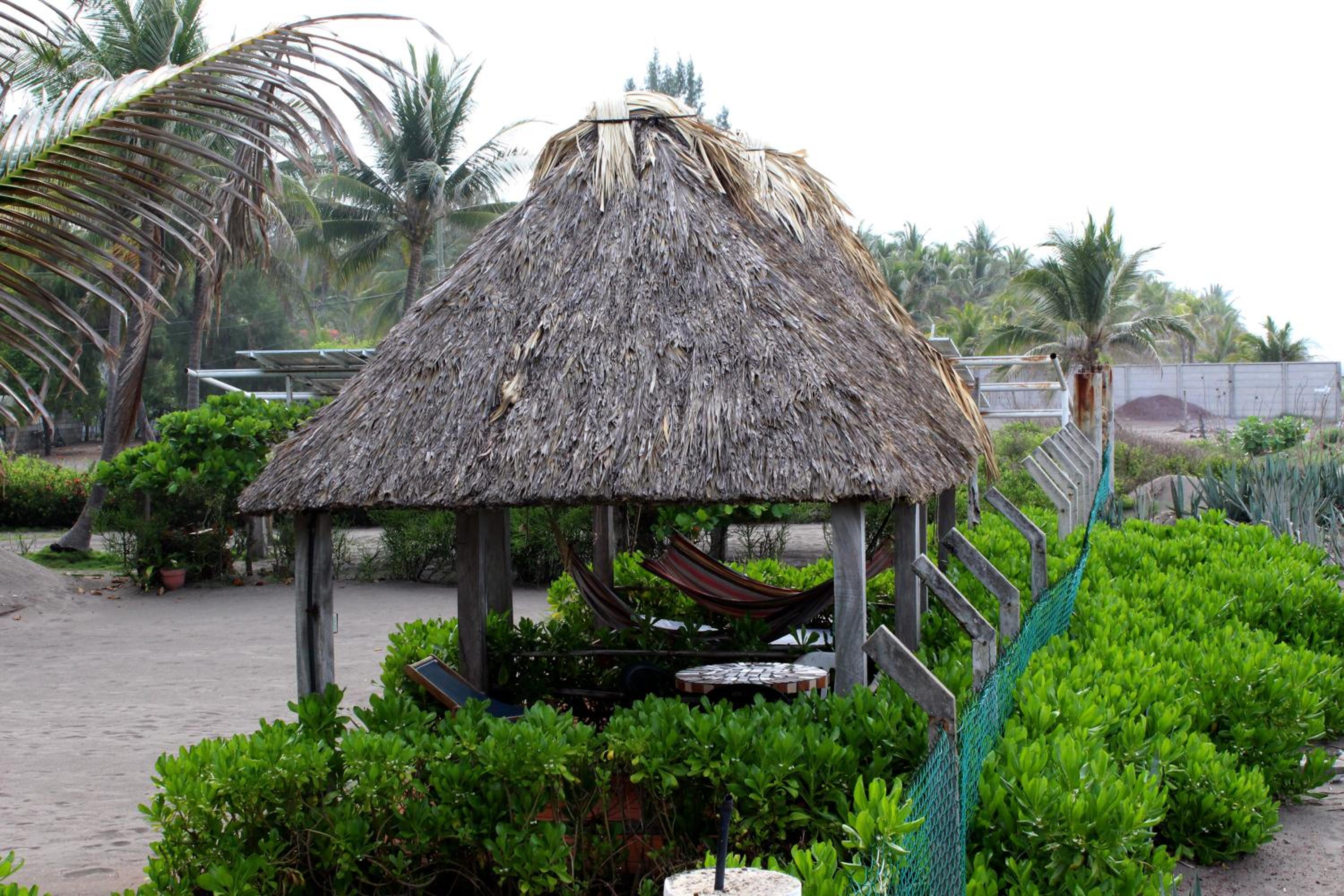 Photo 10