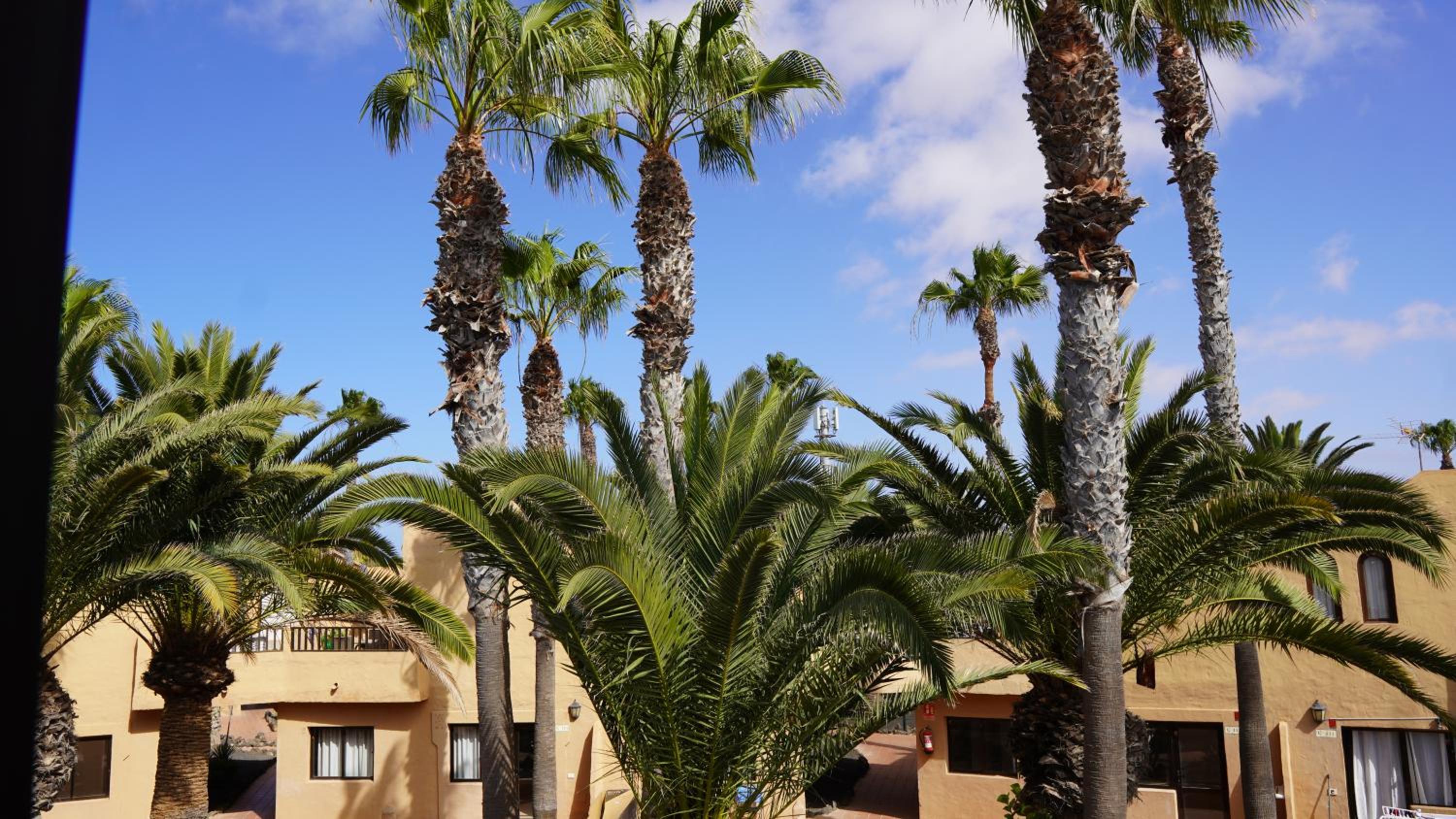 Corralejo Oasis Duna Casa 3P is Premium Adults-Only Apartment with Panoramic Pool View