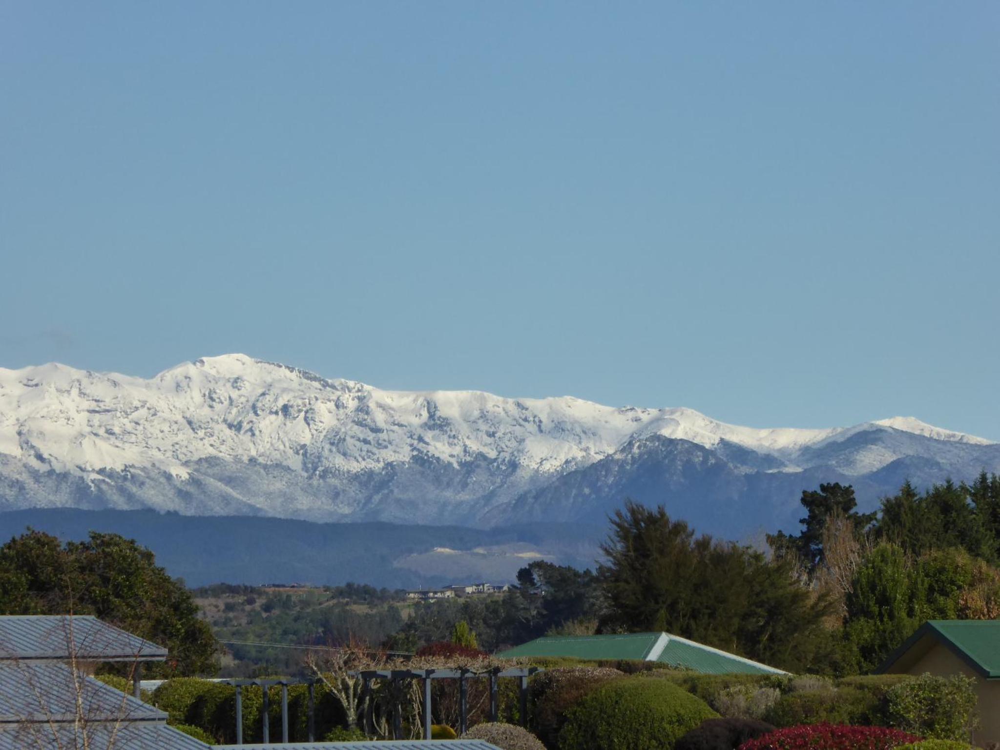 Hazelwood Mapua