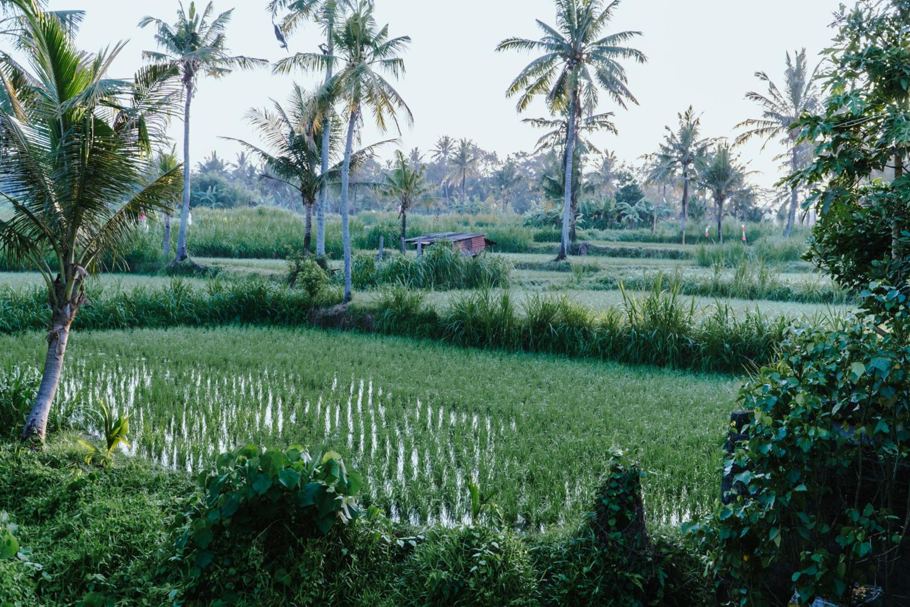 Alam Bulangan Villa