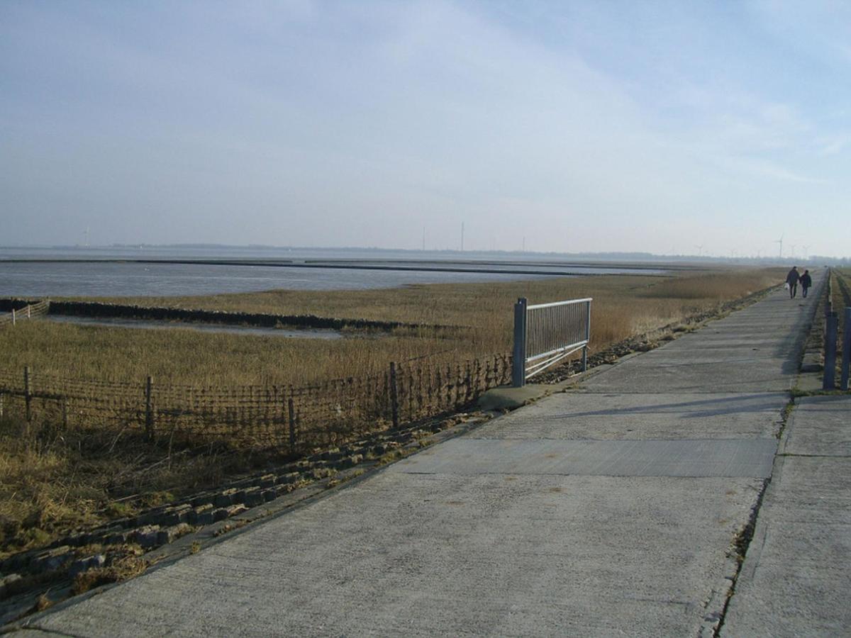 Photo 30