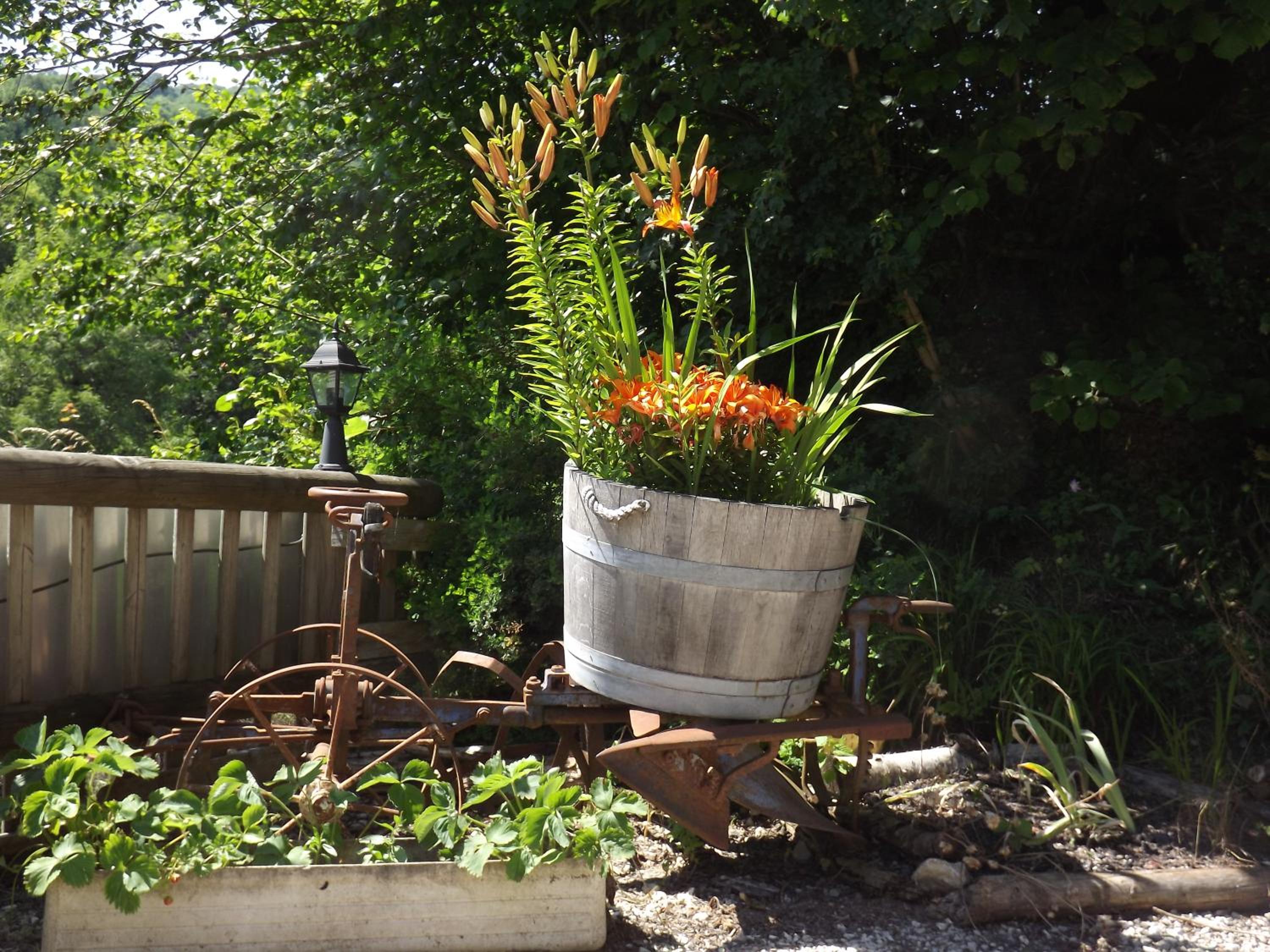 garden