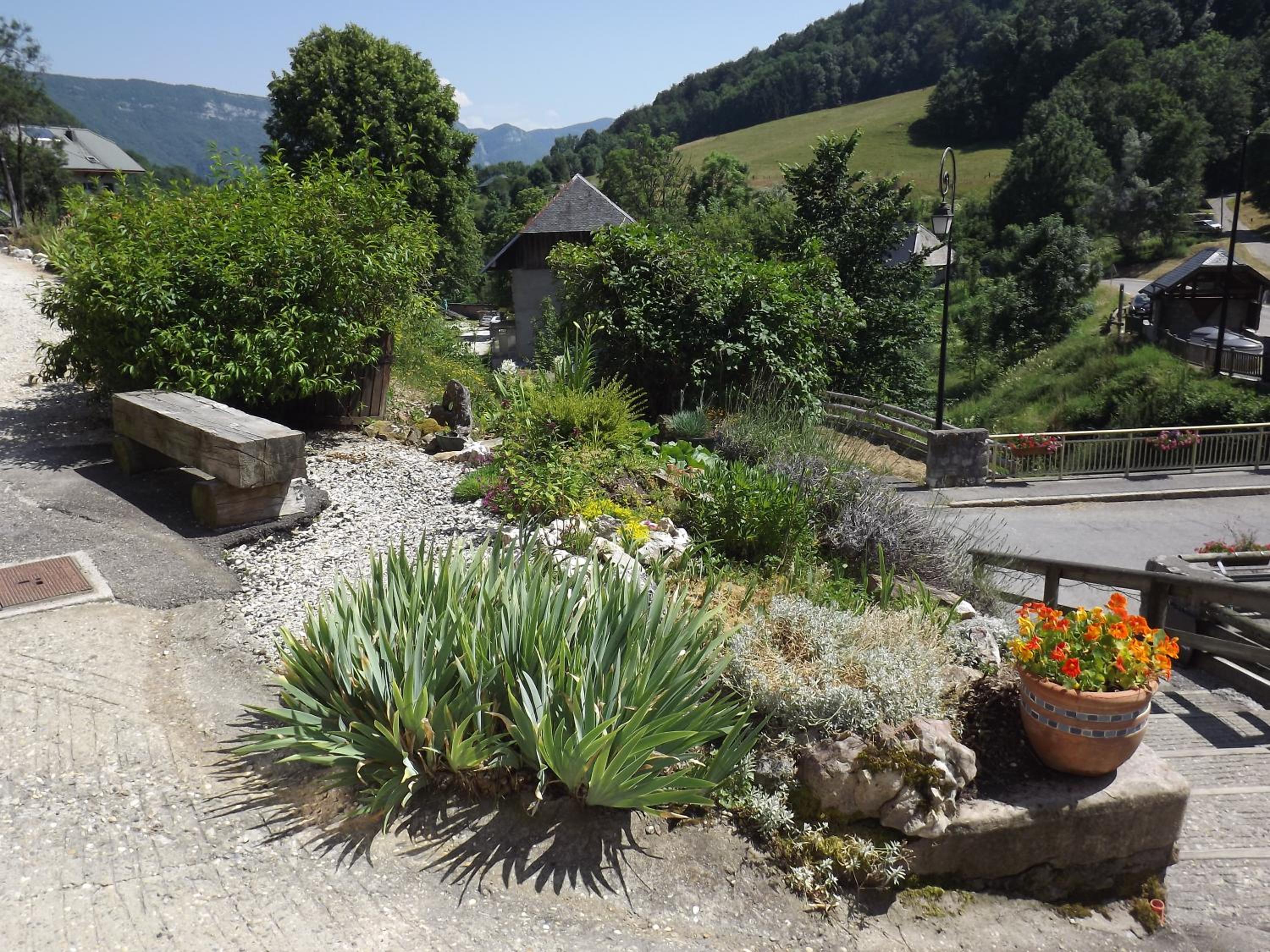 garden