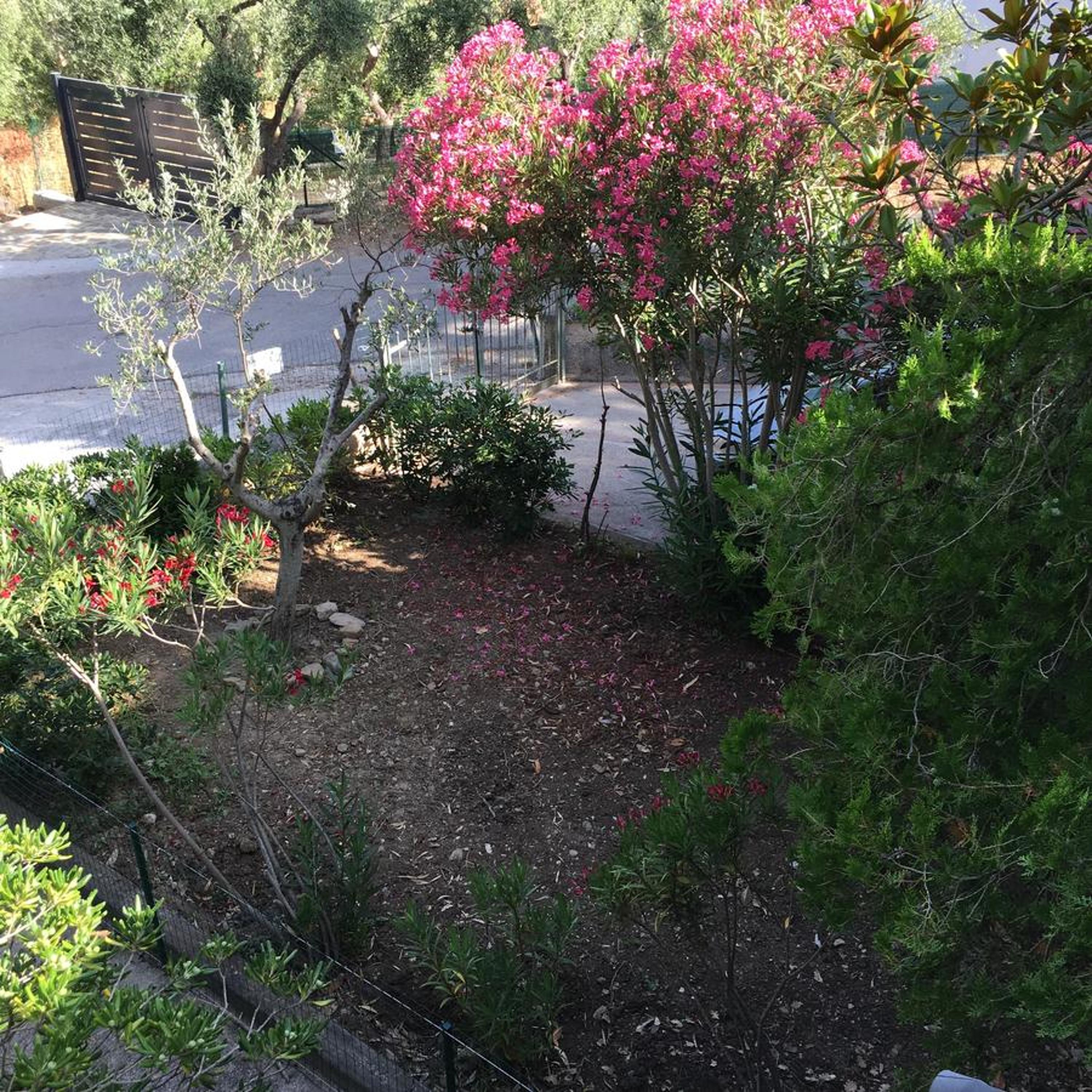 Photo 49