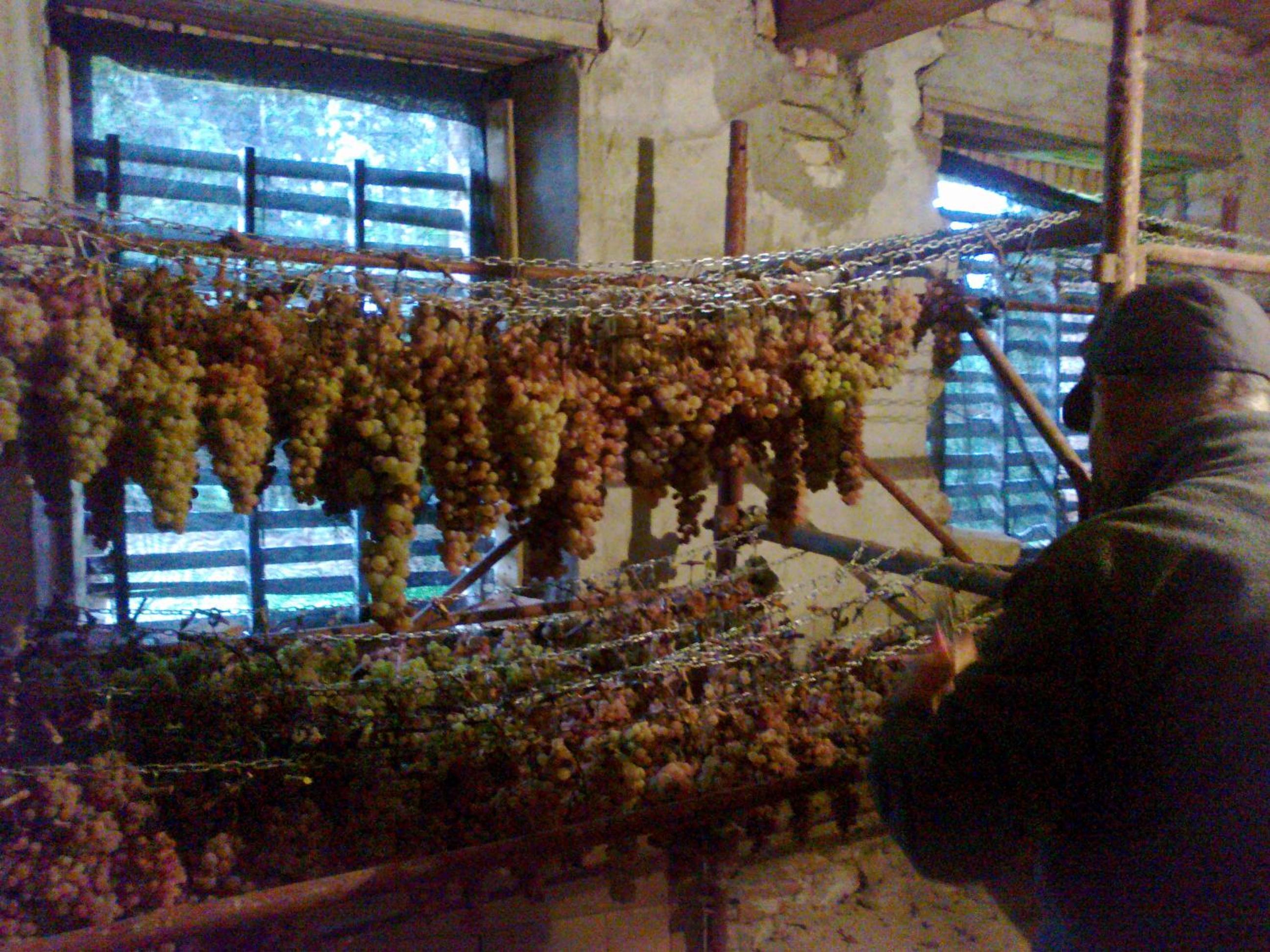 Agriturismo Il Cocco