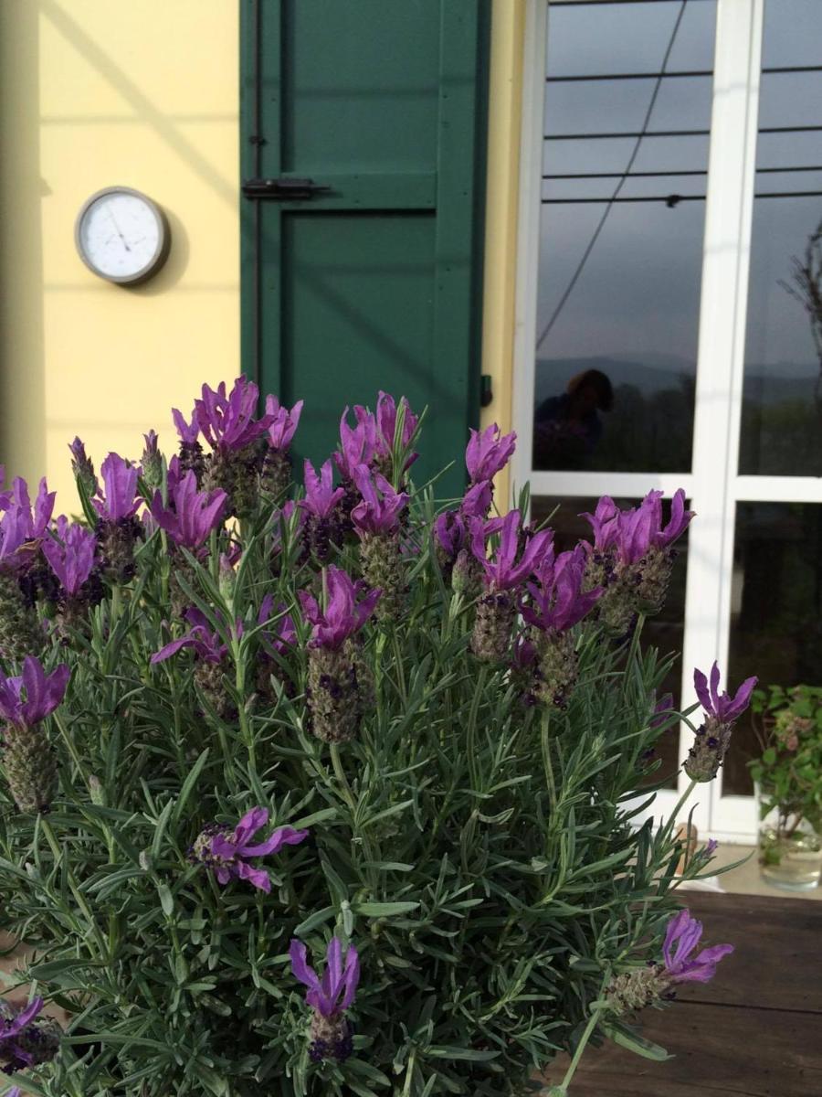 Il Giardino B&B
